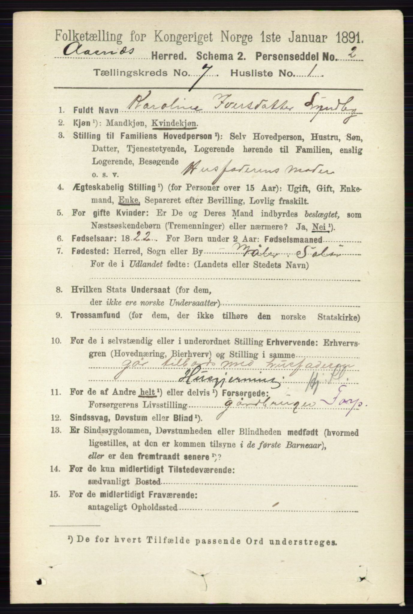 RA, 1891 census for 0425 Åsnes, 1891, p. 3373