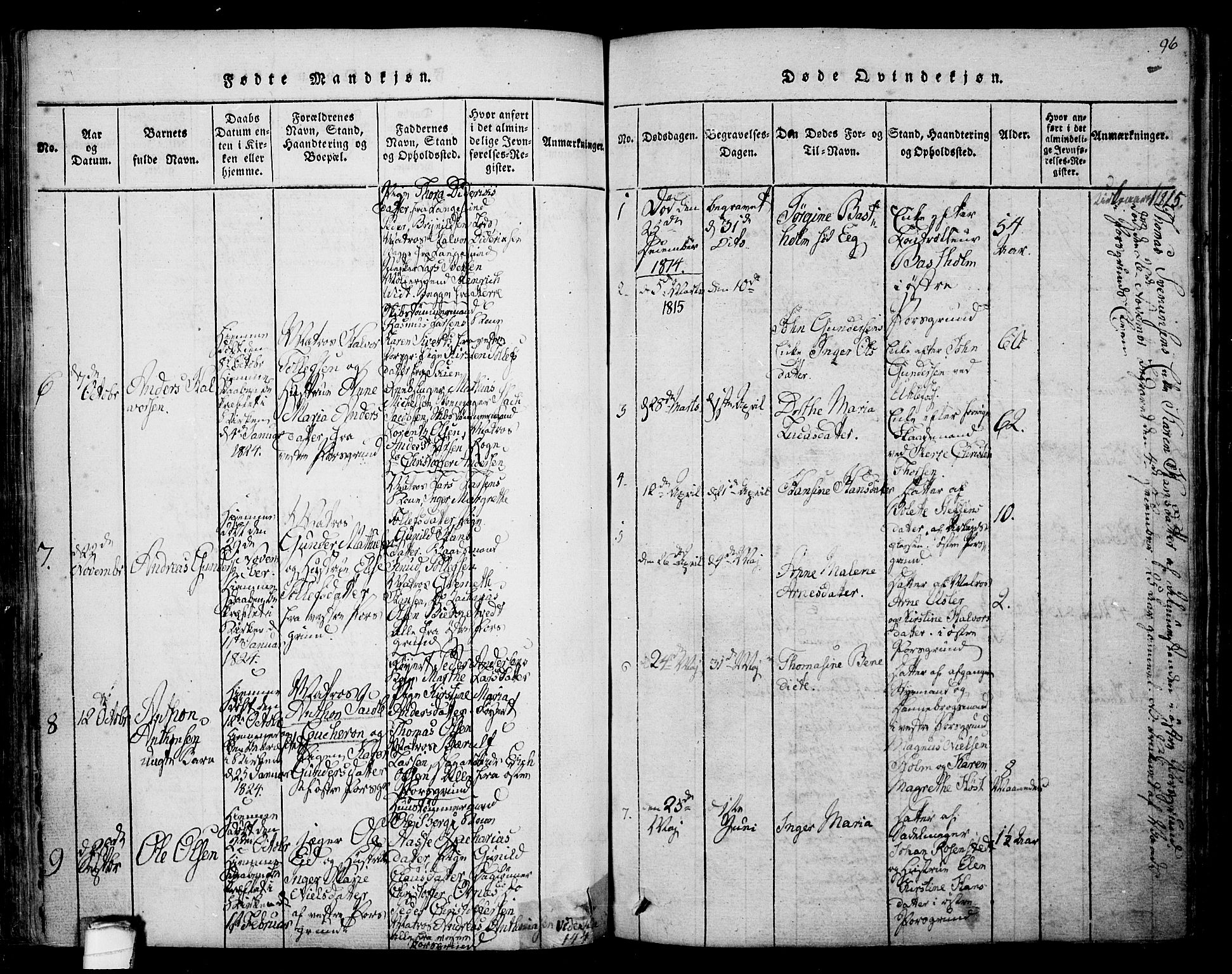 Porsgrunn kirkebøker , SAKO/A-104/F/Fa/L0004: Parish register (official) no. 4, 1814-1828, p. 96