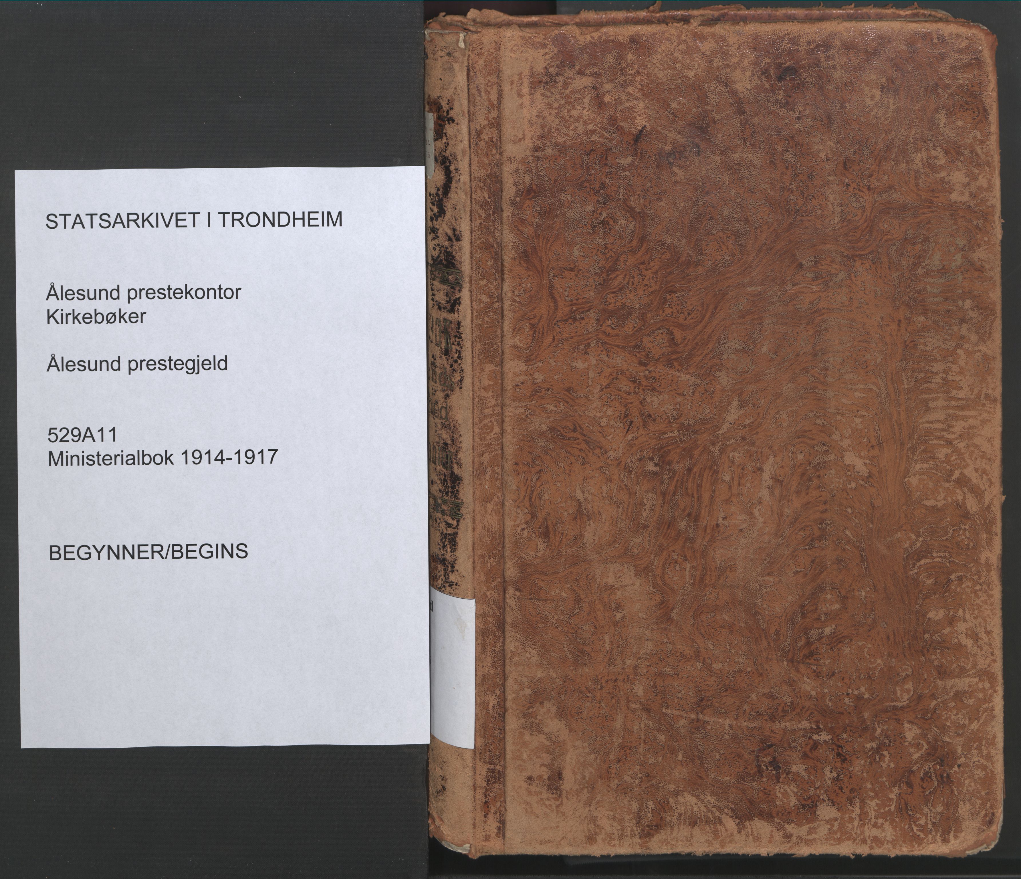 Ministerialprotokoller, klokkerbøker og fødselsregistre - Møre og Romsdal, SAT/A-1454/529/L0461: Parish register (official) no. 529A11, 1914-1925