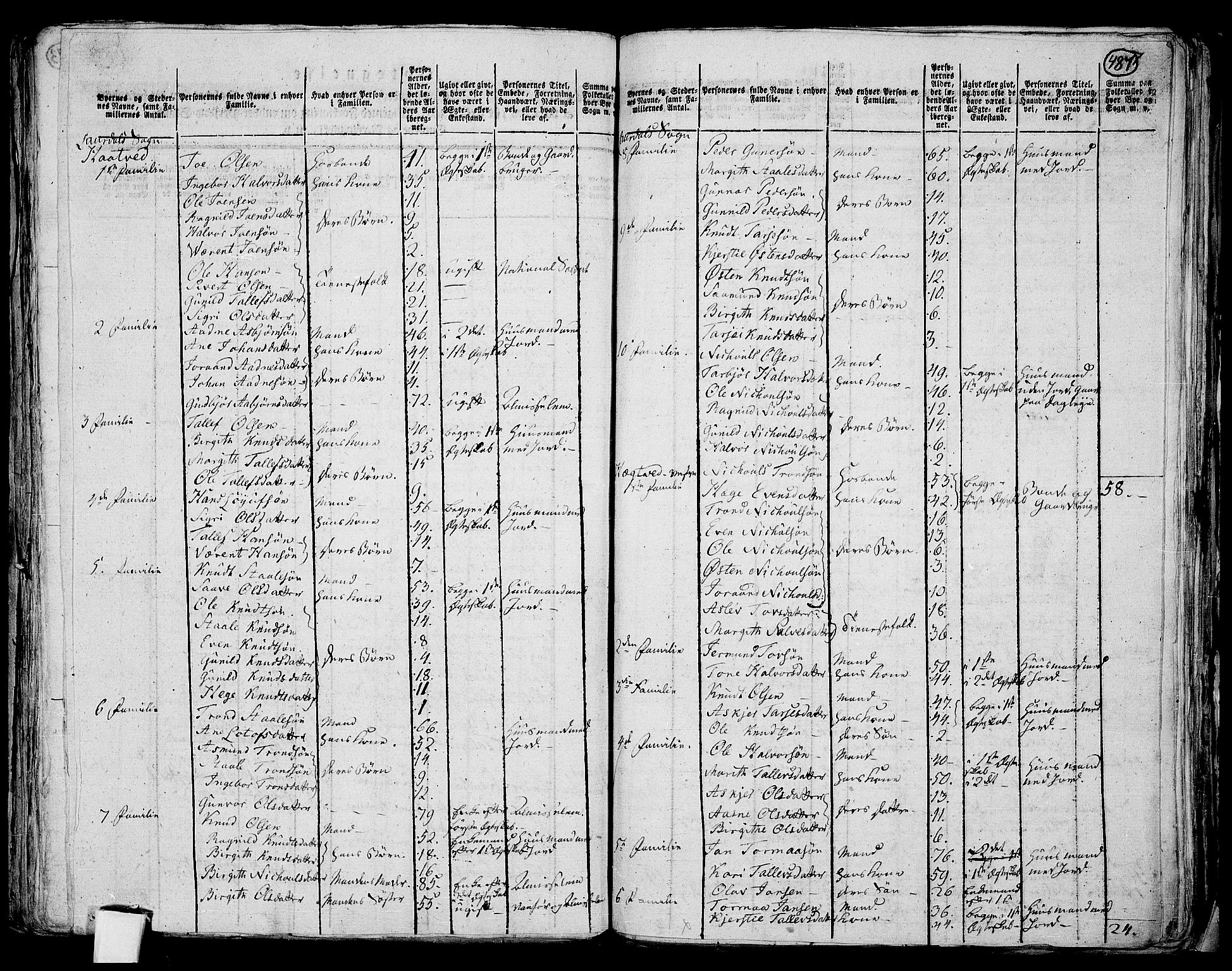 RA, 1801 census for 0833P Lårdal, 1801, p. 486b-487a