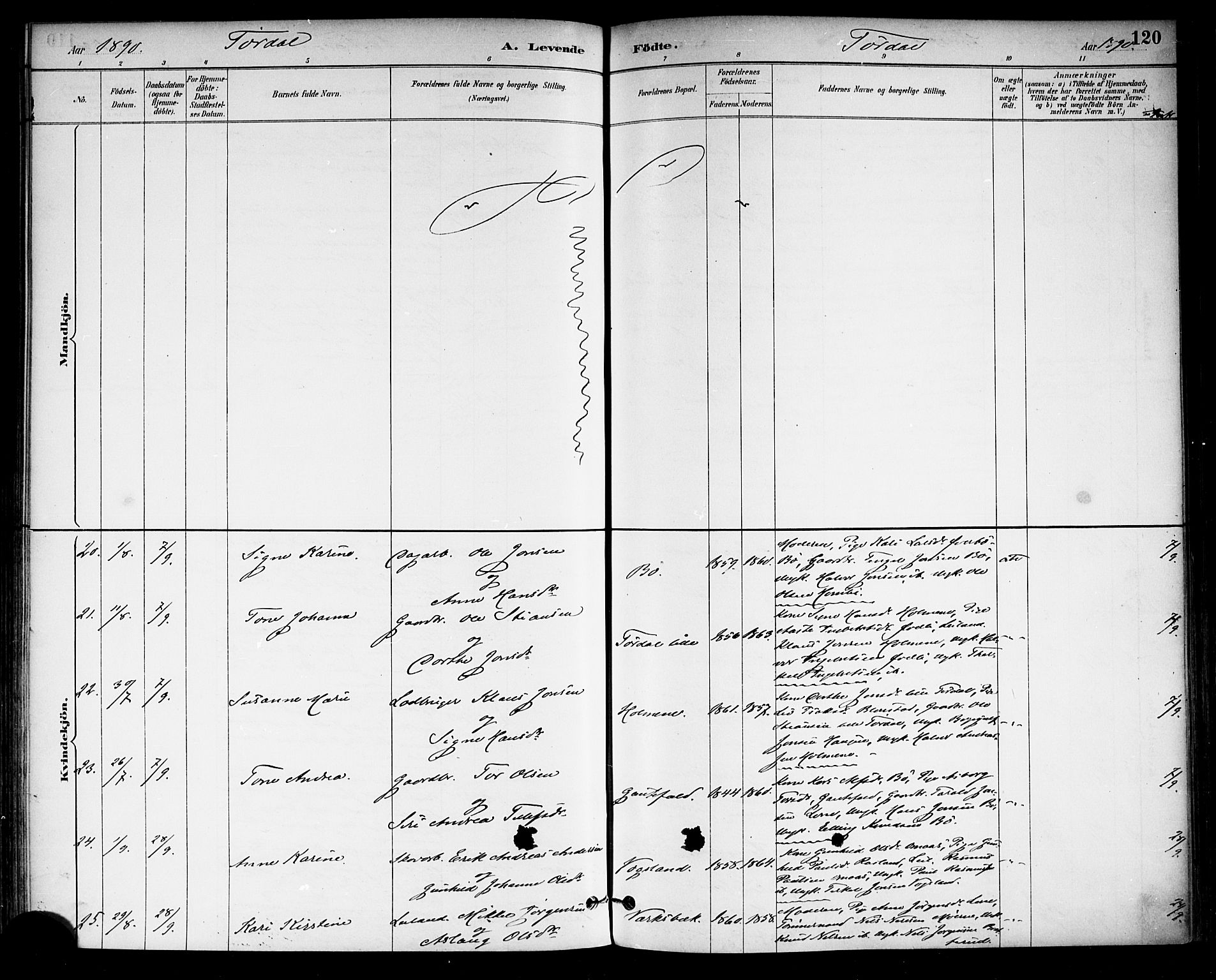Drangedal kirkebøker, SAKO/A-258/F/Fa/L0010: Parish register (official) no. 10 /2, 1885-1894, p. 120
