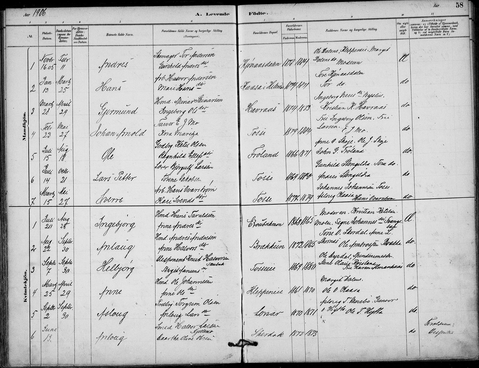 Hjartdal kirkebøker, SAKO/A-270/F/Fb/L0002: Parish register (official) no. II 2, 1880-1932, p. 58