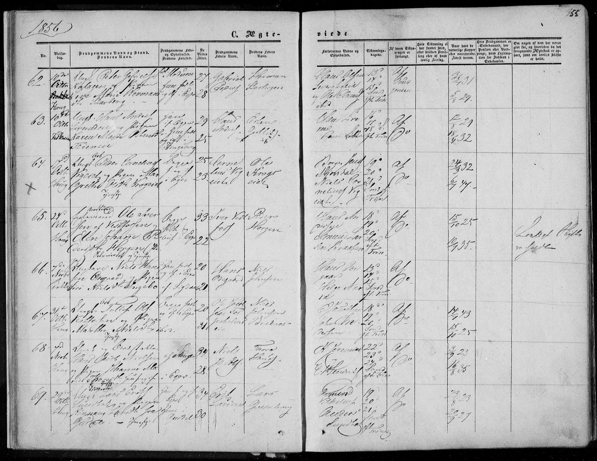 Eiker kirkebøker, SAKO/A-4/F/Fa/L0015b: Parish register (official) no. I 15B, 1854-1860, p. 355