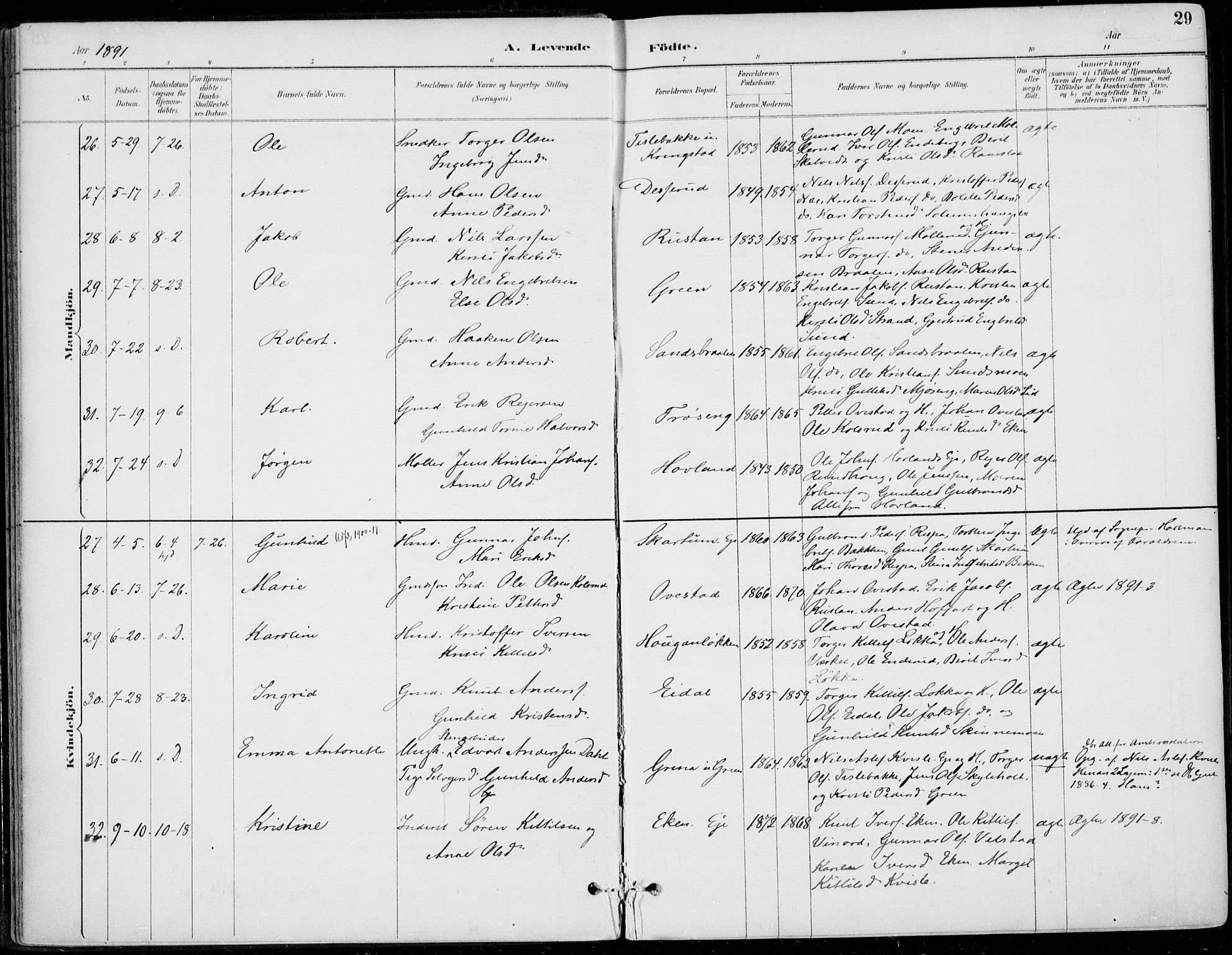 Sigdal kirkebøker, SAKO/A-245/F/Fb/L0001: Parish register (official) no. II 1, 1888-1900, p. 29