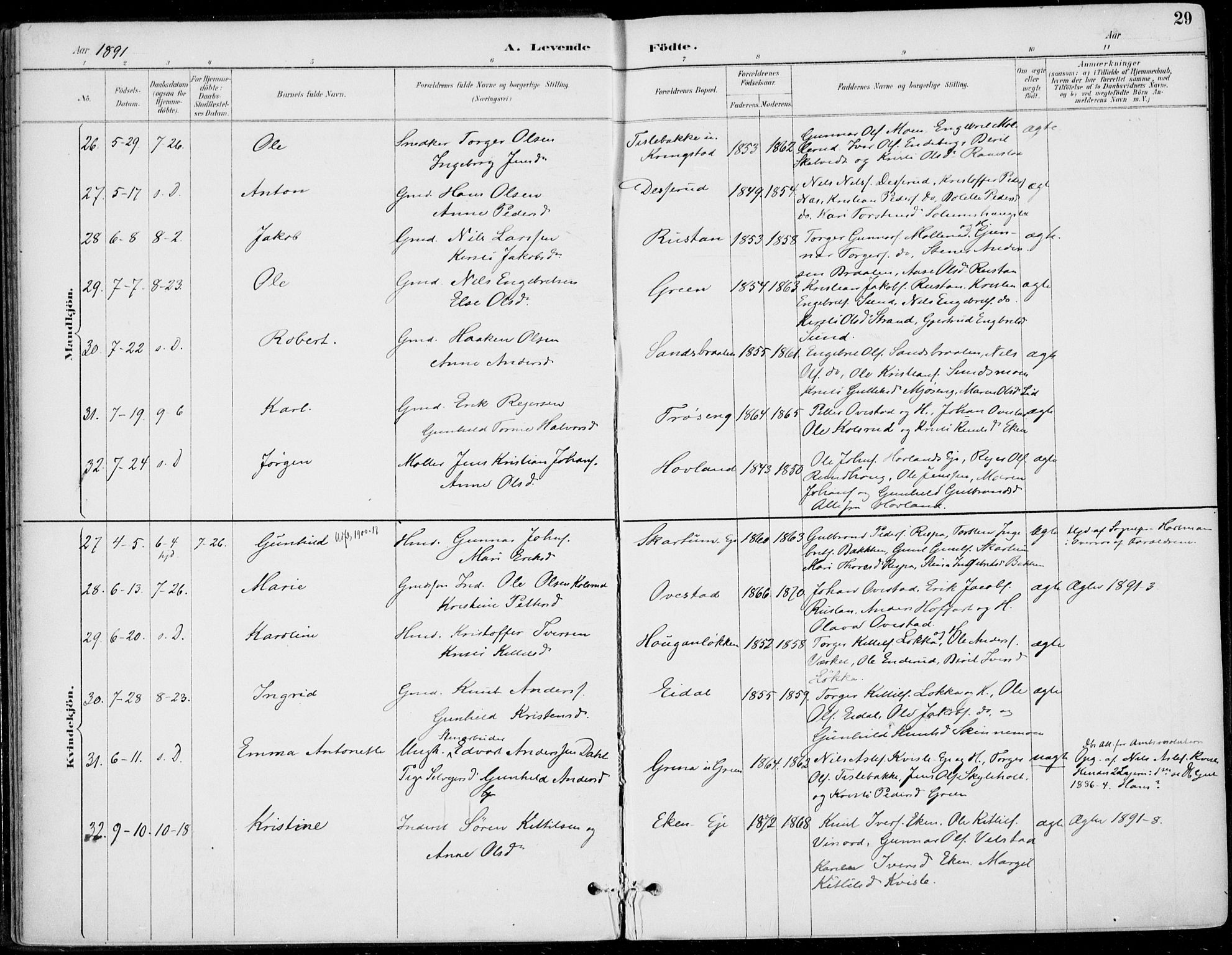 Sigdal kirkebøker, AV/SAKO-A-245/F/Fb/L0001: Parish register (official) no. II 1, 1888-1900, p. 29