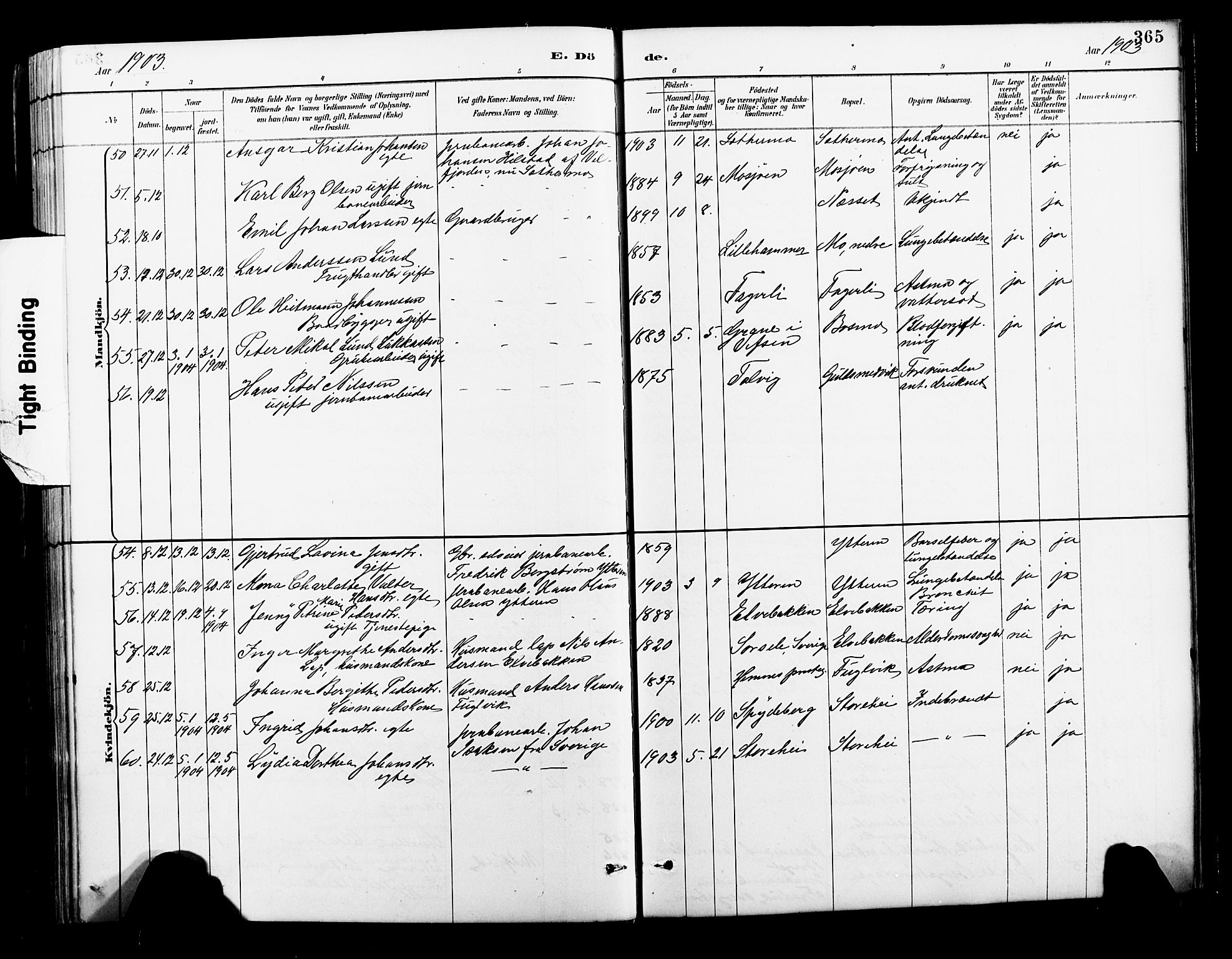 Ministerialprotokoller, klokkerbøker og fødselsregistre - Nordland, SAT/A-1459/827/L0421: Parish register (copy) no. 827C10, 1887-1906, p. 365