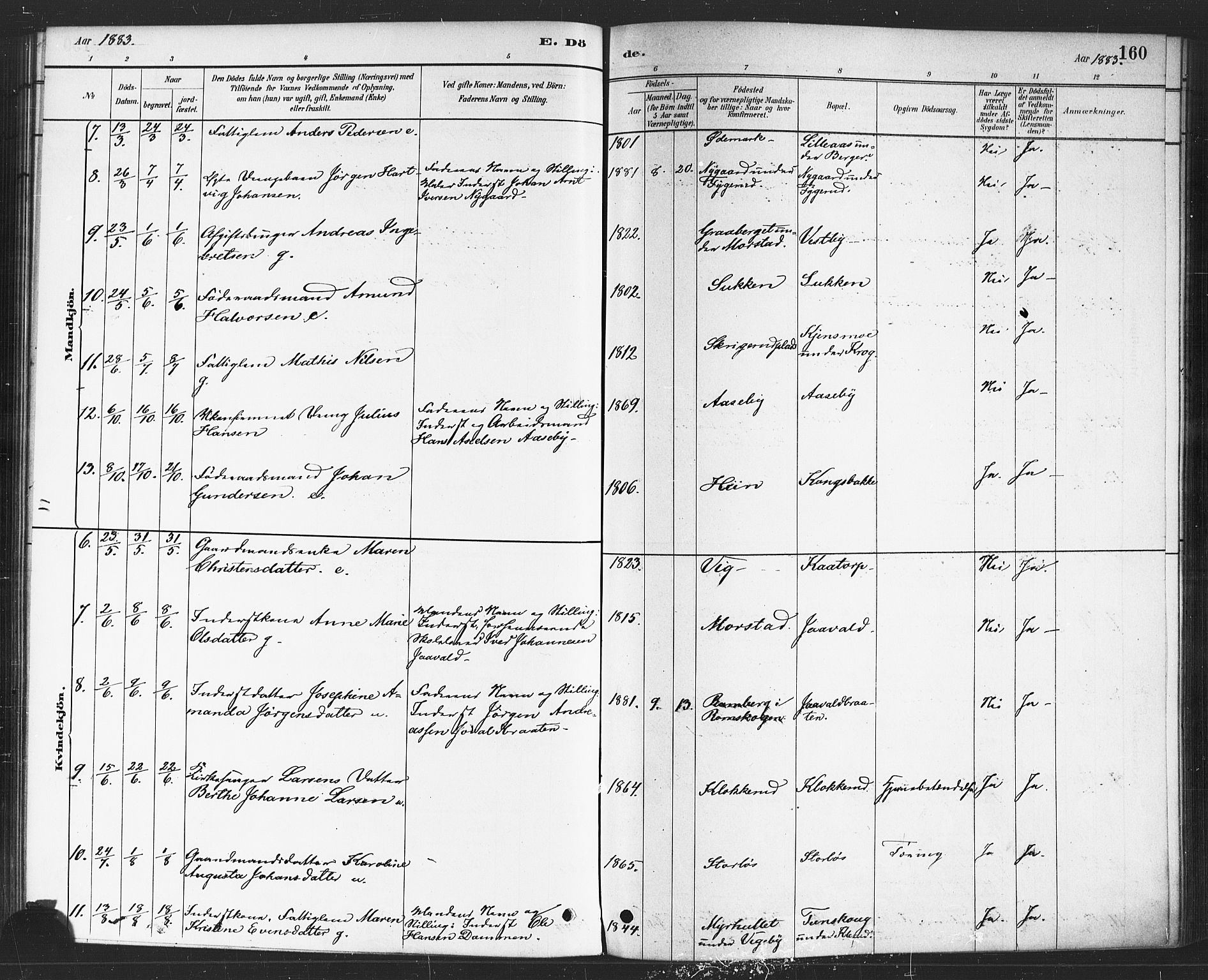 Rødenes prestekontor Kirkebøker, AV/SAO-A-2005/F/Fa/L0009: Parish register (official) no. I 9, 1880-1889, p. 160