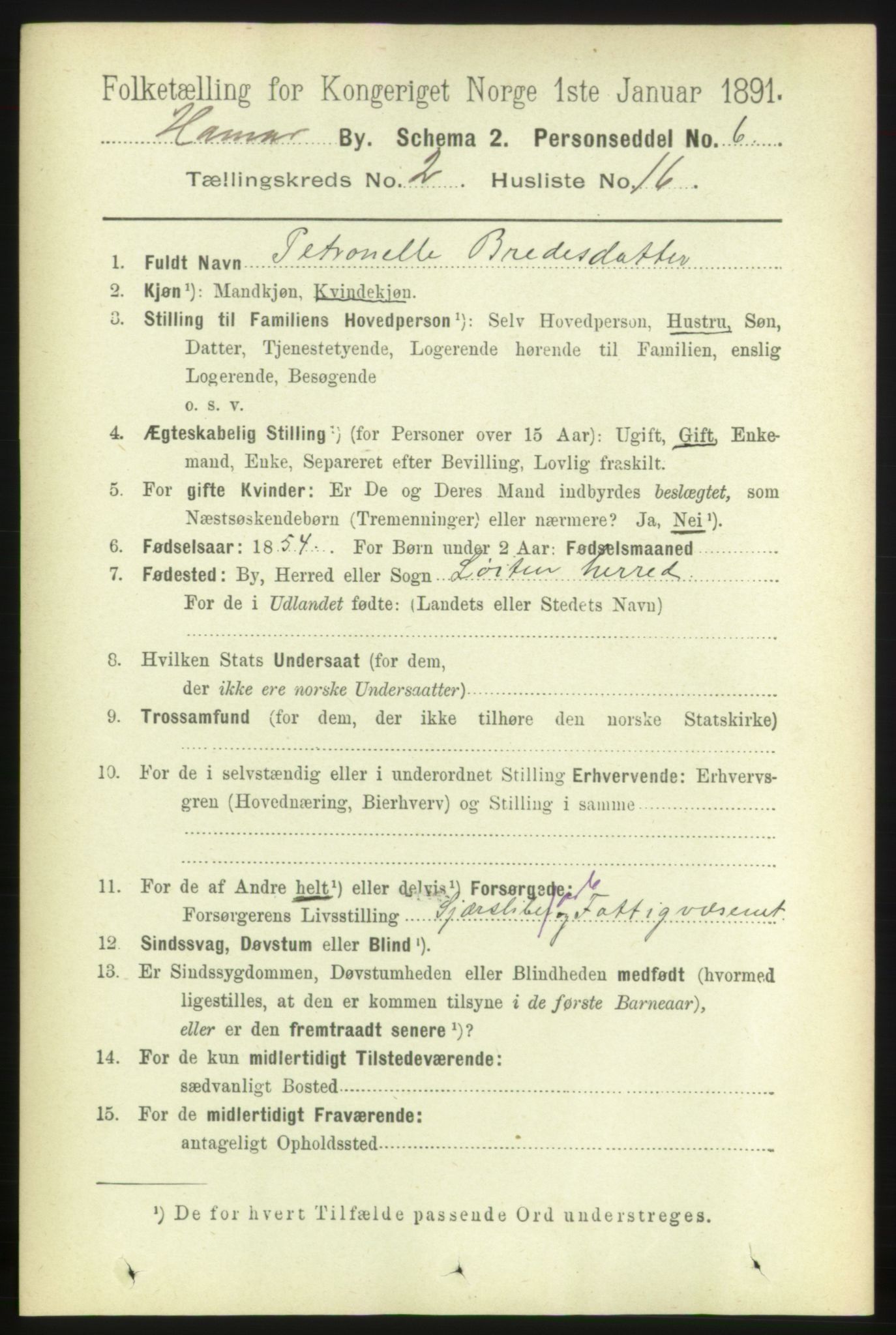 RA, 1891 census for 0401 Hamar, 1891, p. 1203