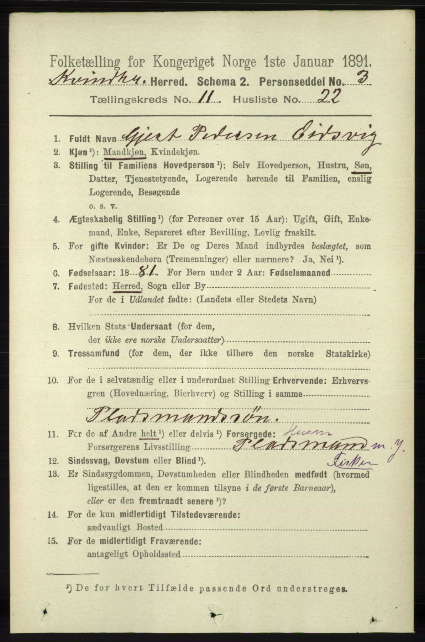 RA, 1891 census for 1224 Kvinnherad, 1891, p. 3914