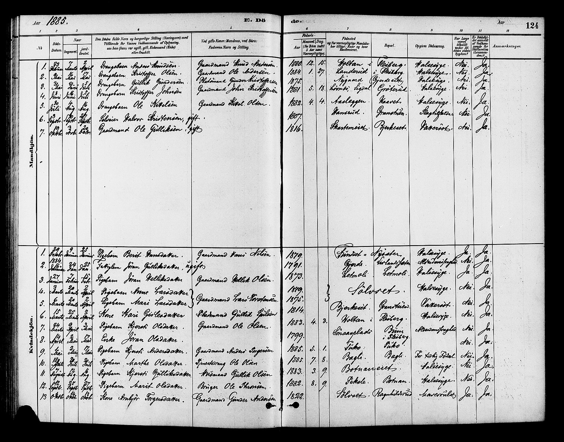 Flesberg kirkebøker, SAKO/A-18/F/Fc/L0001: Parish register (official) no. III 1, 1879-1905, p. 124