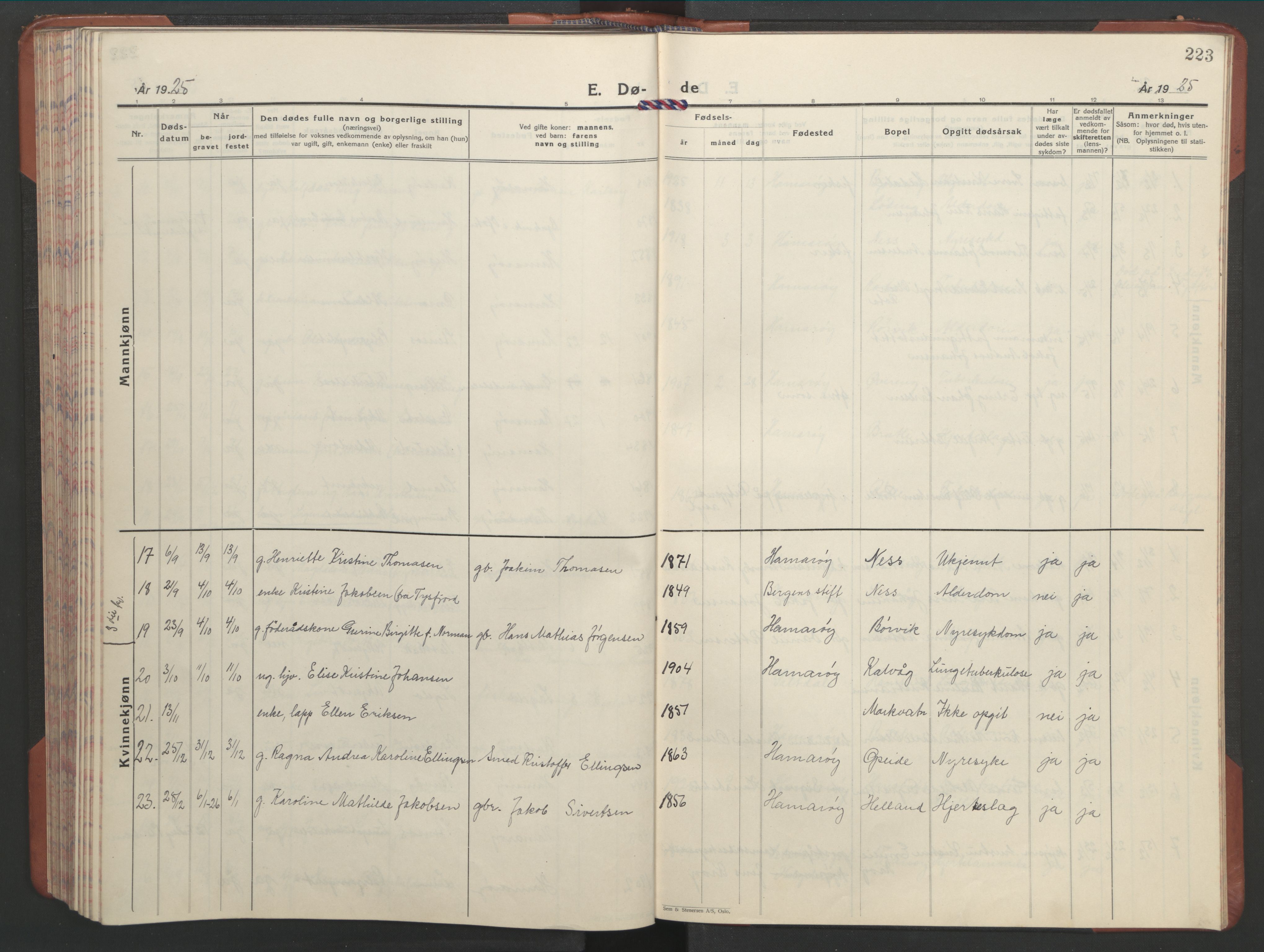 Ministerialprotokoller, klokkerbøker og fødselsregistre - Nordland, AV/SAT-A-1459/859/L0862: Parish register (copy) no. 859C08, 1925-1936, p. 223