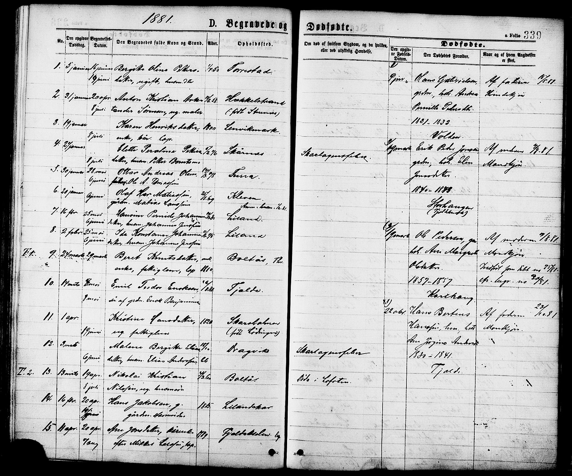 Ministerialprotokoller, klokkerbøker og fødselsregistre - Nordland, AV/SAT-A-1459/863/L0897: Parish register (official) no. 863A09, 1872-1886, p. 339