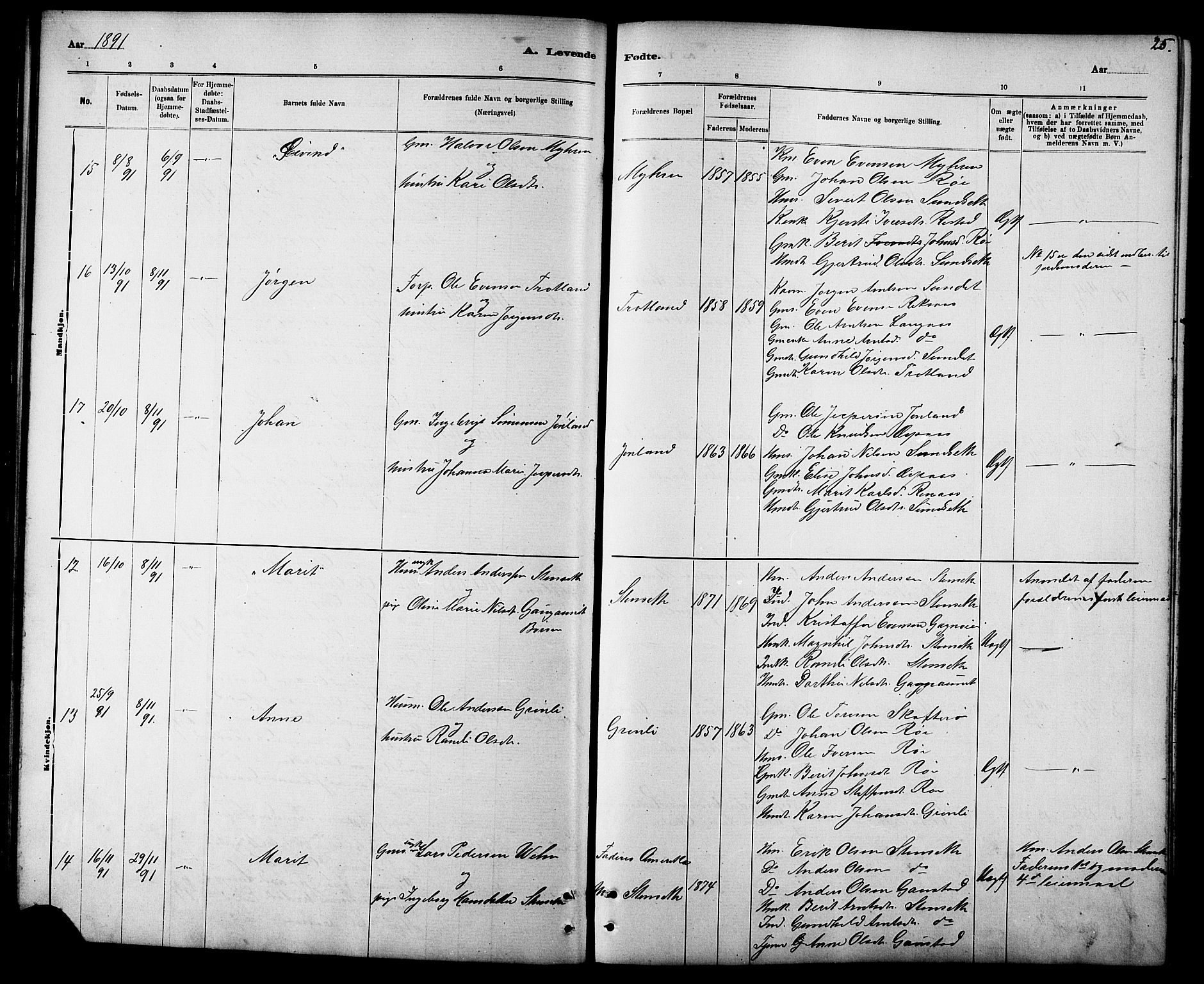 Ministerialprotokoller, klokkerbøker og fødselsregistre - Sør-Trøndelag, SAT/A-1456/694/L1132: Parish register (copy) no. 694C04, 1887-1914, p. 25