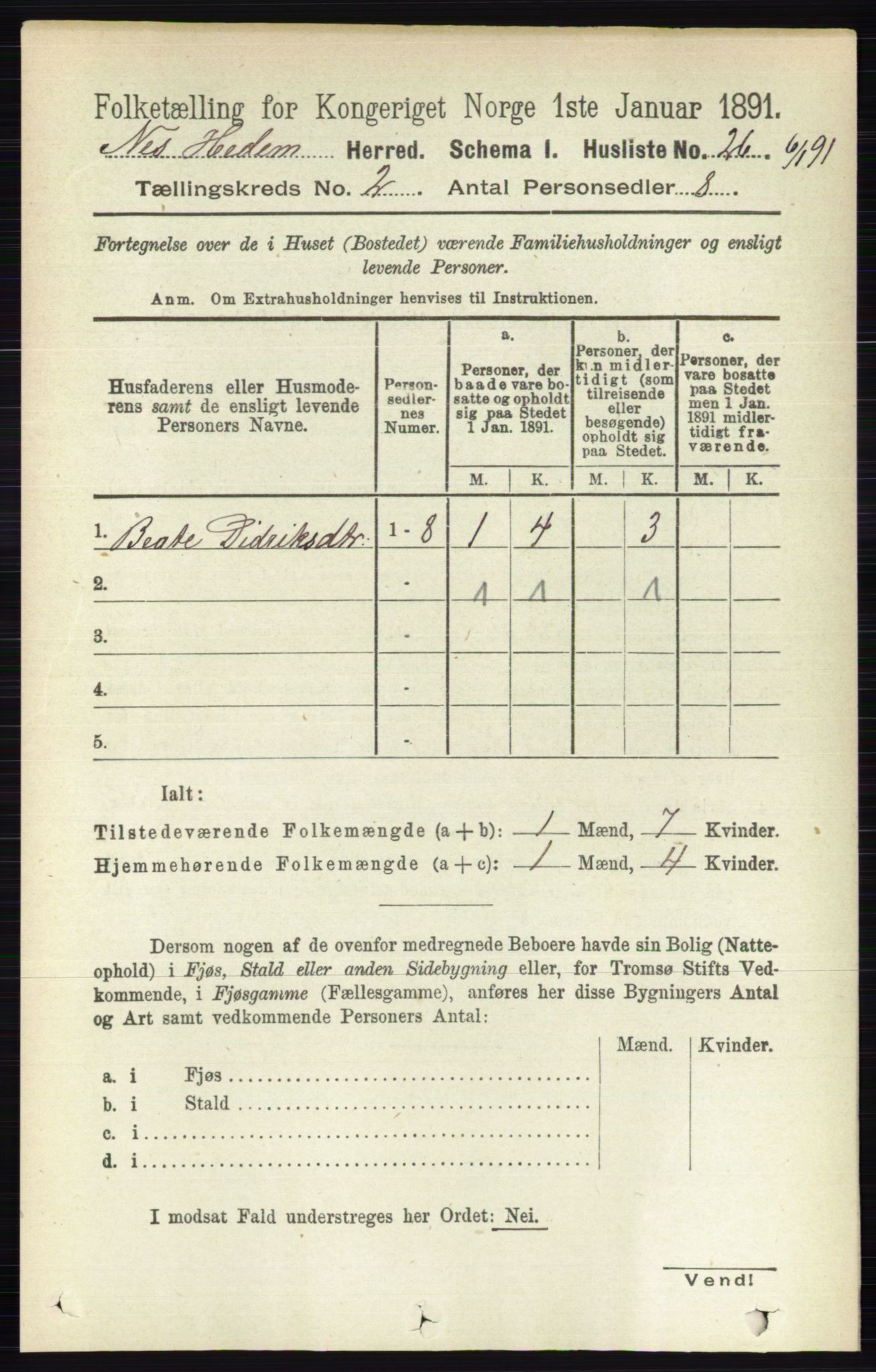 RA, 1891 census for 0411 Nes, 1891, p. 1030