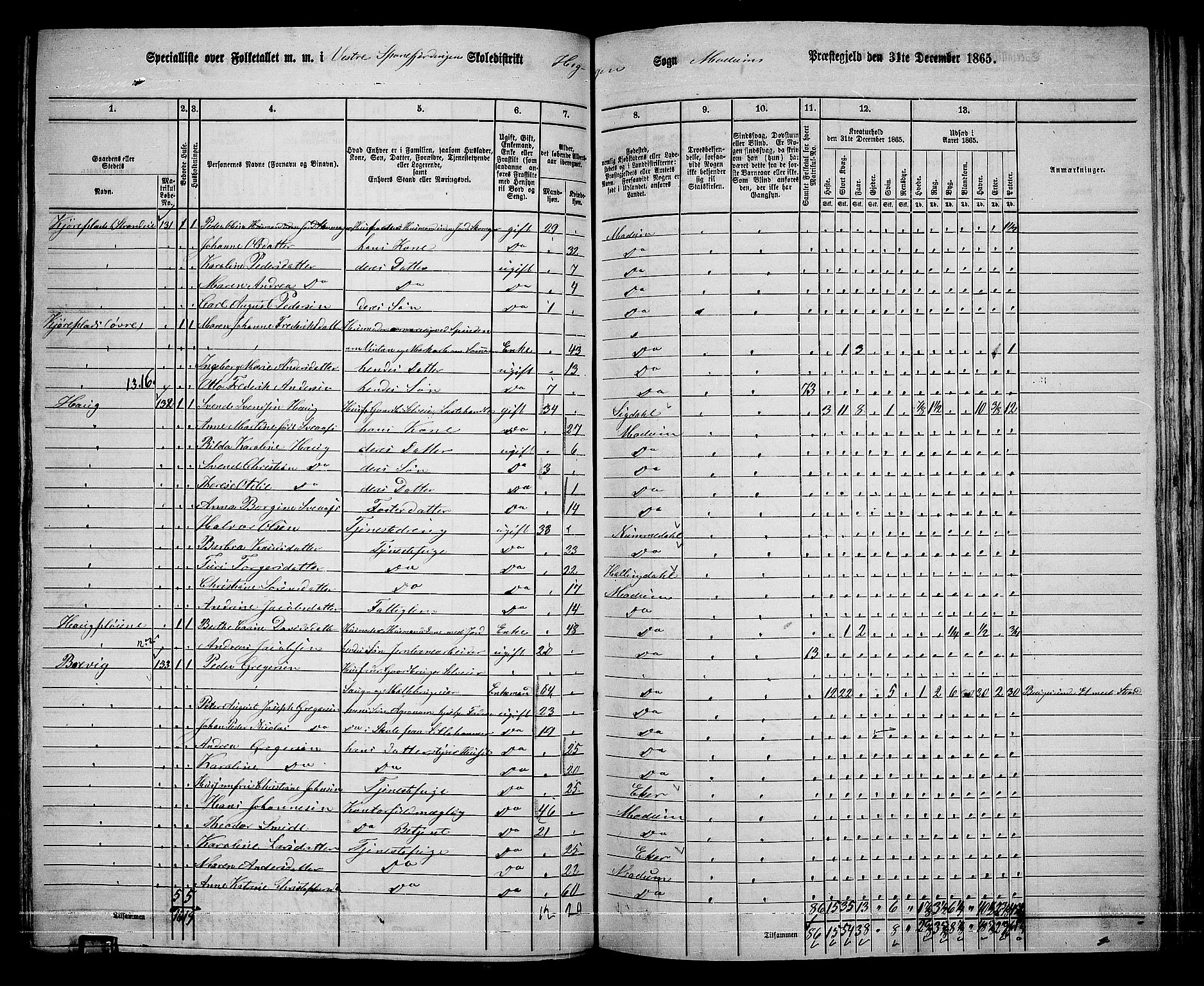 RA, 1865 census for Modum, 1865, p. 189