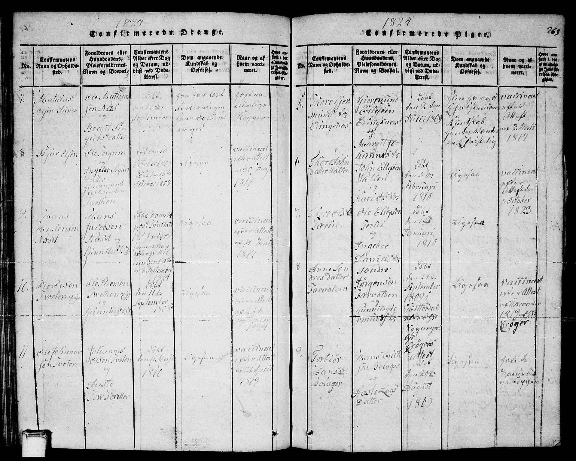 Sauherad kirkebøker, AV/SAKO-A-298/F/Fa/L0005: Parish register (official) no. I 5, 1815-1829, p. 263