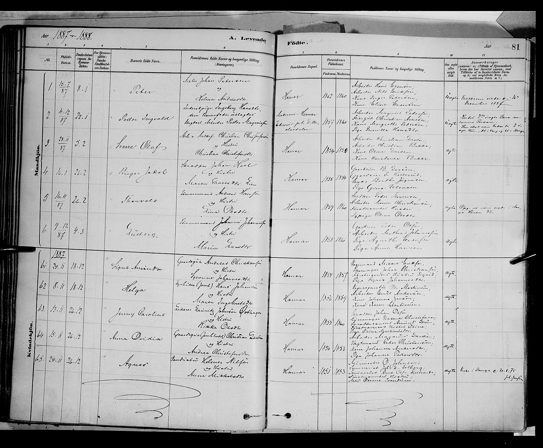 Vang prestekontor, Hedmark, AV/SAH-PREST-008/H/Ha/Haa/L0016: Parish register (official) no. 16, 1878-1889, p. 81