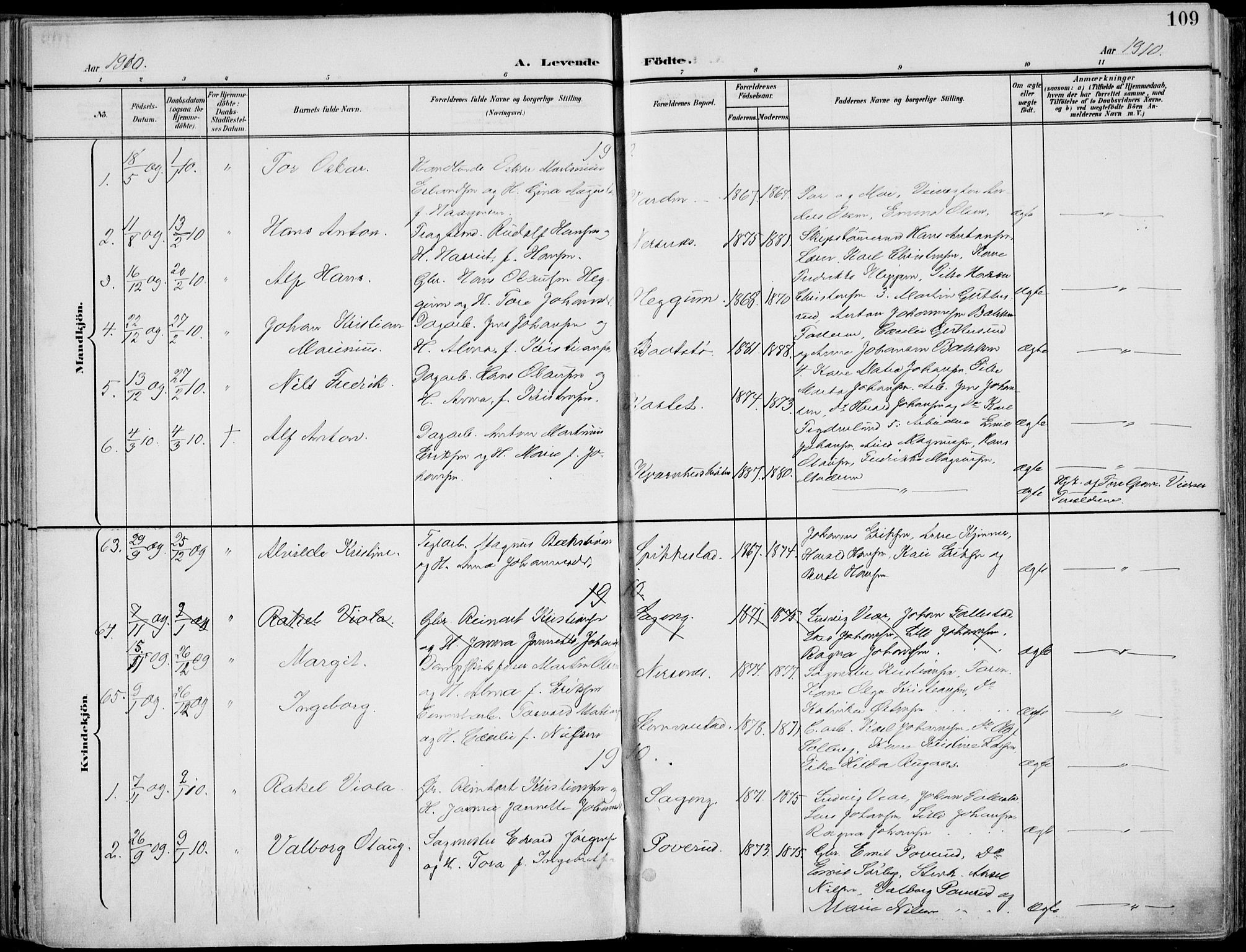 Røyken kirkebøker, SAKO/A-241/F/Fa/L0009: Parish register (official) no. 9, 1898-1911, p. 109