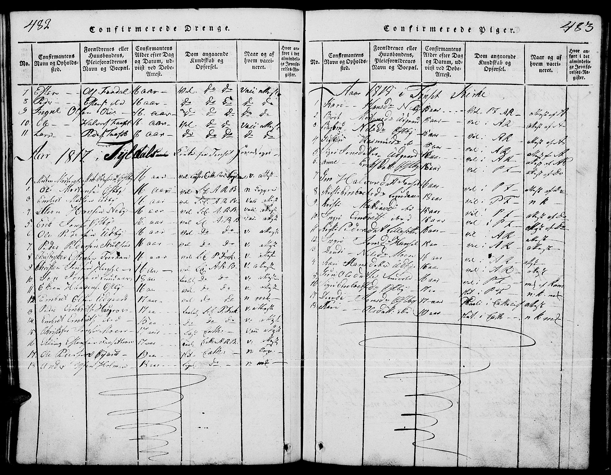 Tynset prestekontor, AV/SAH-PREST-058/H/Ha/Hab/L0001: Parish register (copy) no. 1, 1814-1859, p. 482-483