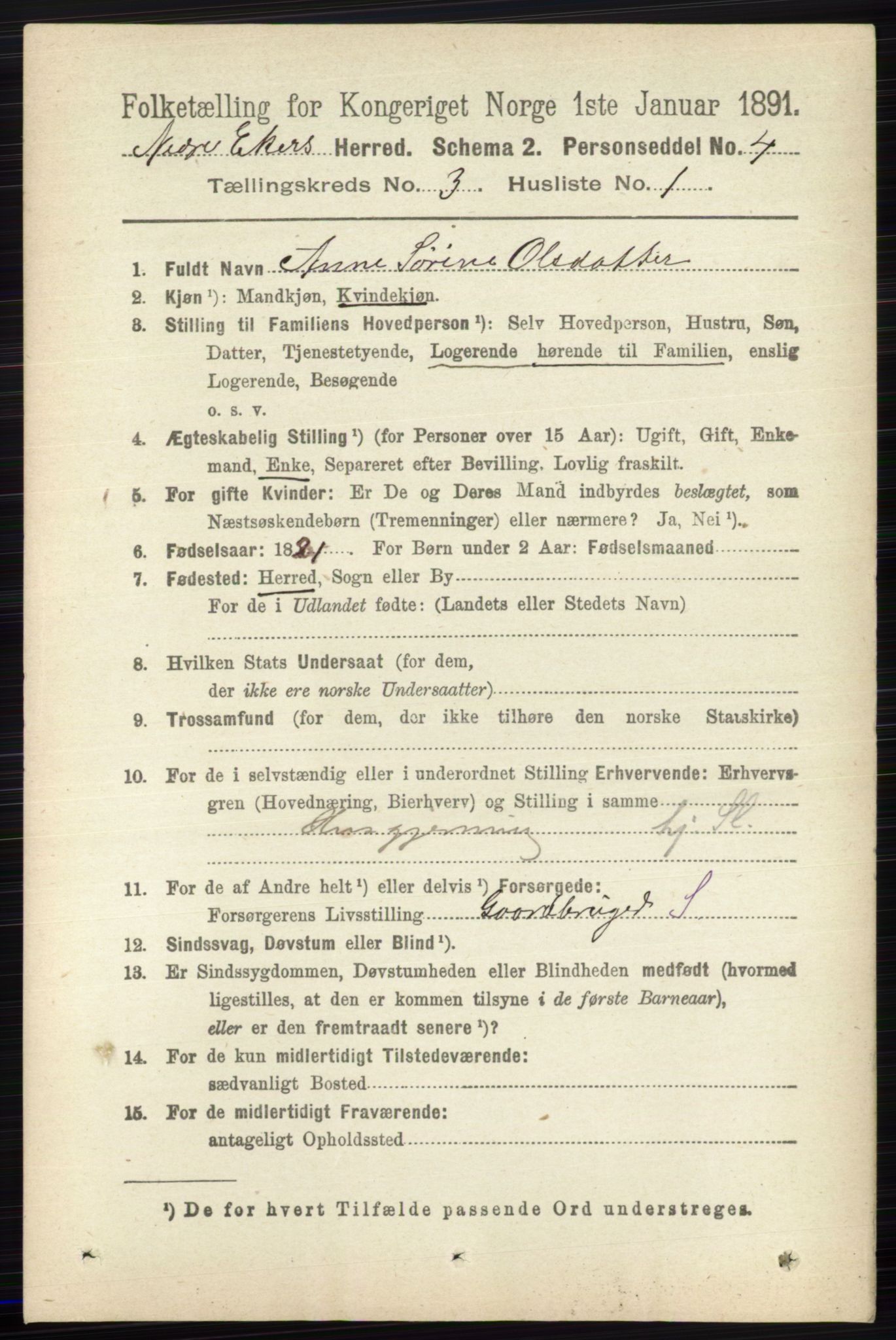 RA, 1891 census for 0625 Nedre Eiker, 1891, p. 1195