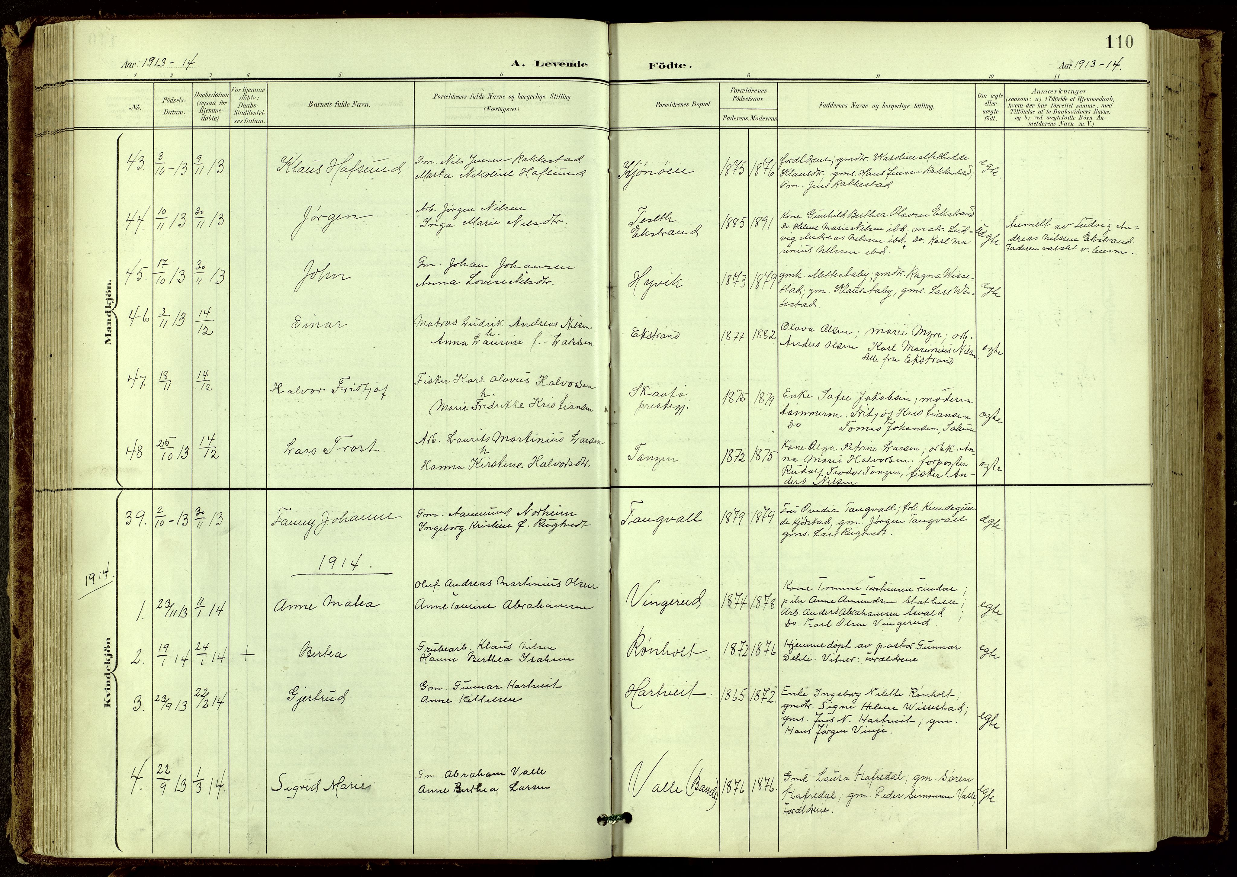 Bamble kirkebøker, SAKO/A-253/G/Ga/L0010: Parish register (copy) no. I 10, 1901-1919, p. 110