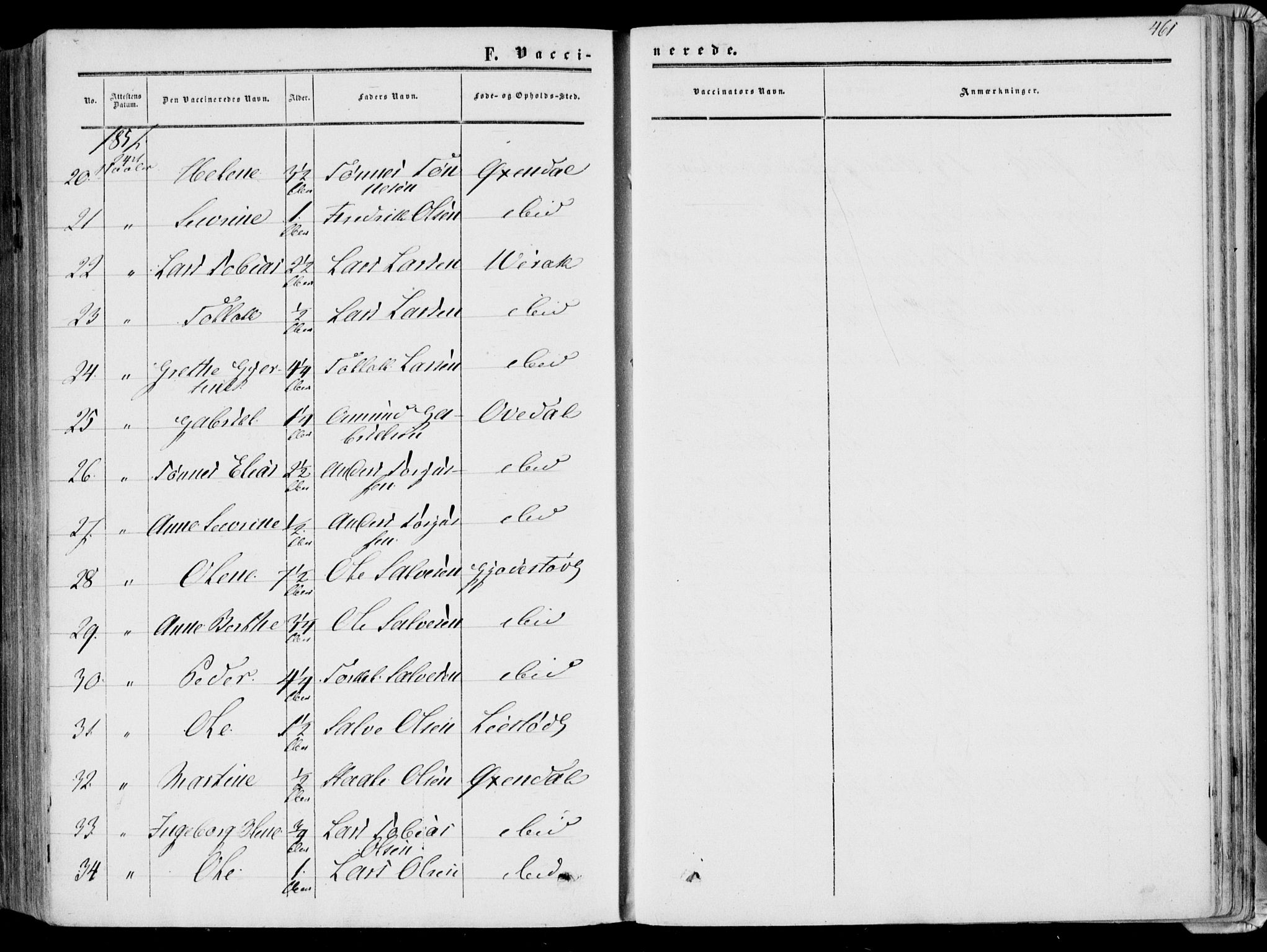 Bakke sokneprestkontor, AV/SAK-1111-0002/F/Fa/Faa/L0006: Parish register (official) no. A 6, 1855-1877, p. 461