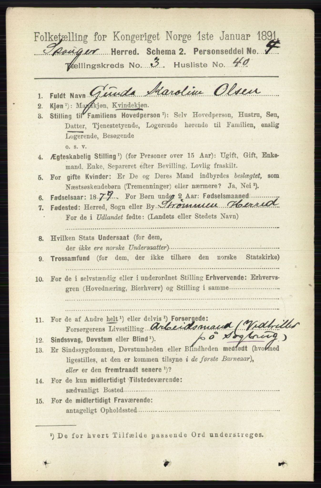 RA, 1891 census for 0712 Skoger, 1891, p. 1992