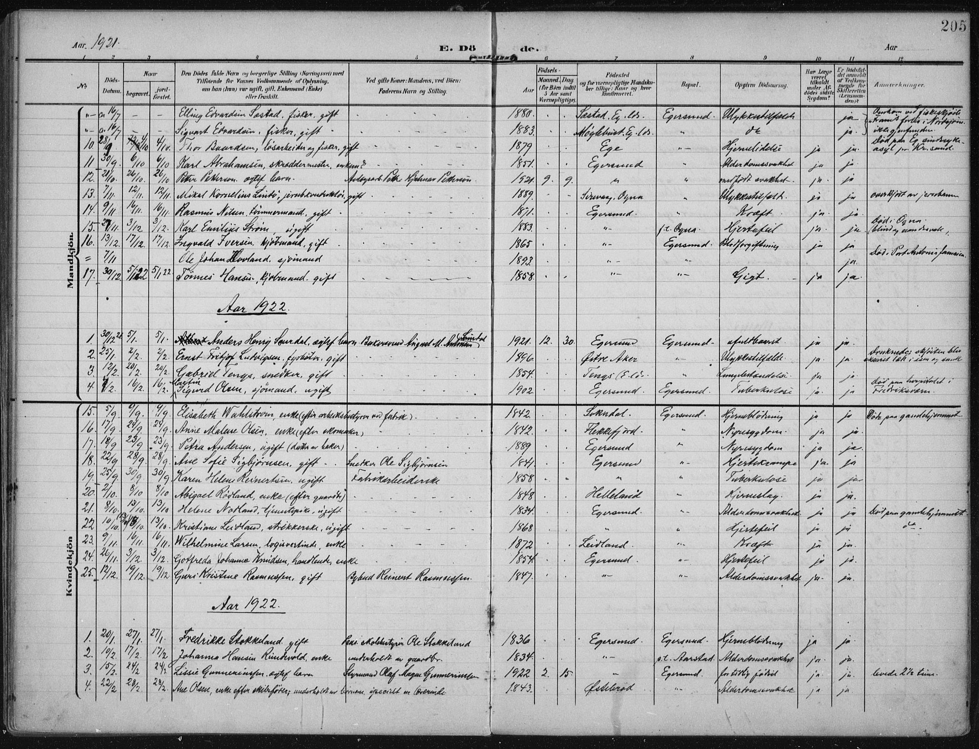 Eigersund sokneprestkontor, SAST/A-101807/S08/L0022: Parish register (official) no. A 21, 1905-1928, p. 205
