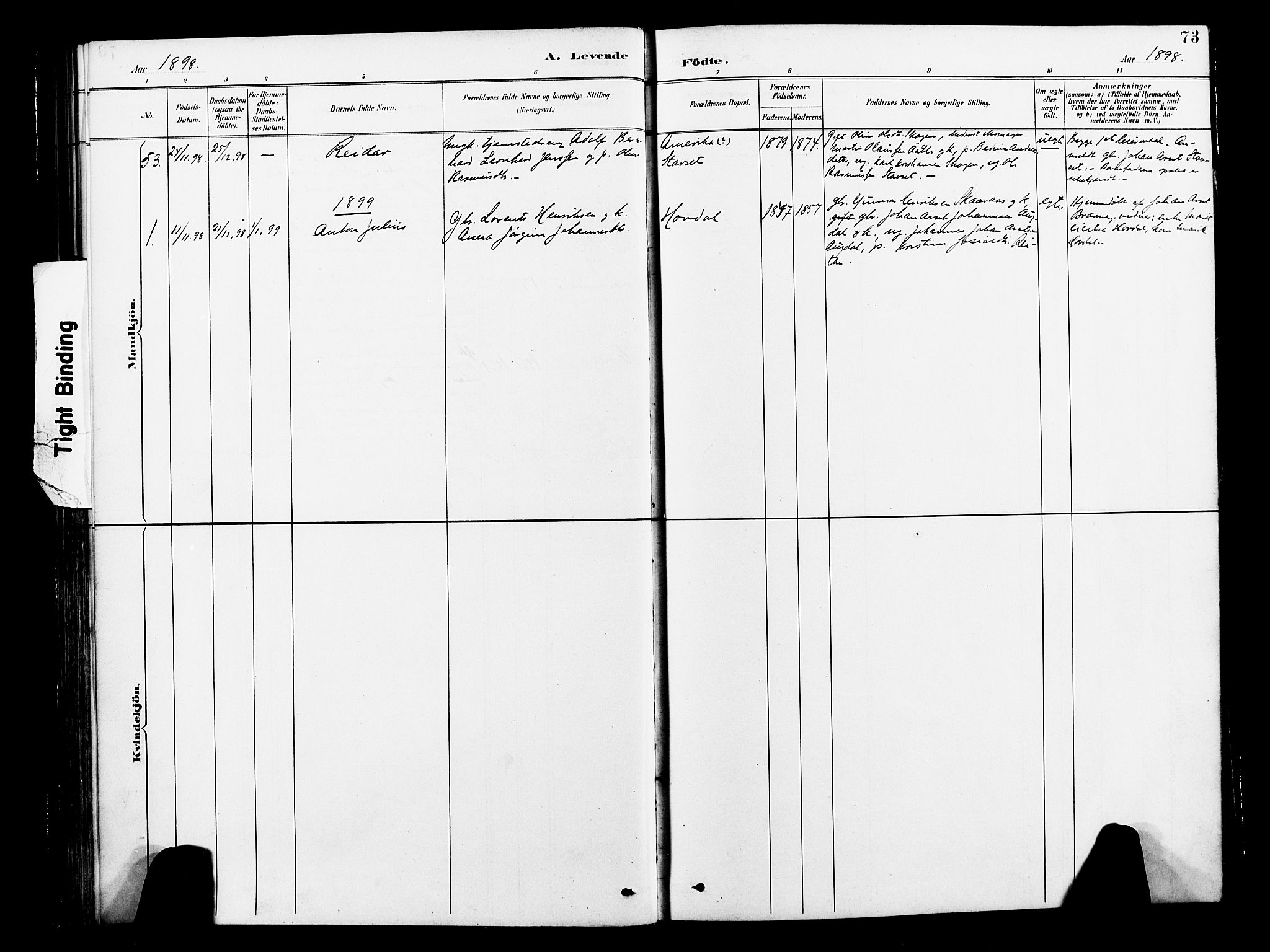 Ministerialprotokoller, klokkerbøker og fødselsregistre - Nord-Trøndelag, AV/SAT-A-1458/713/L0121: Parish register (official) no. 713A10, 1888-1898, p. 73