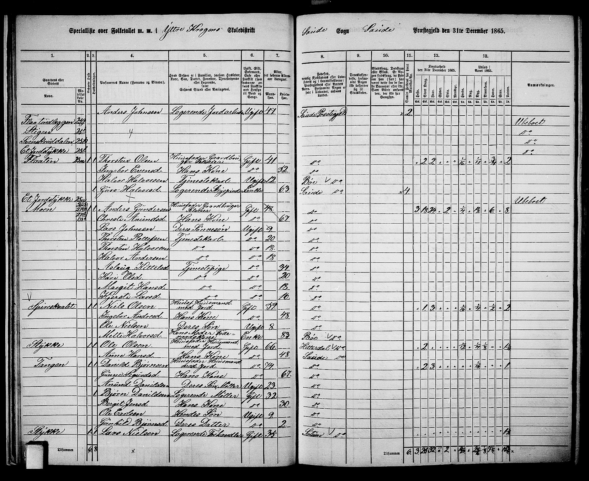 RA, 1865 census for Sauherad, 1865, p. 23