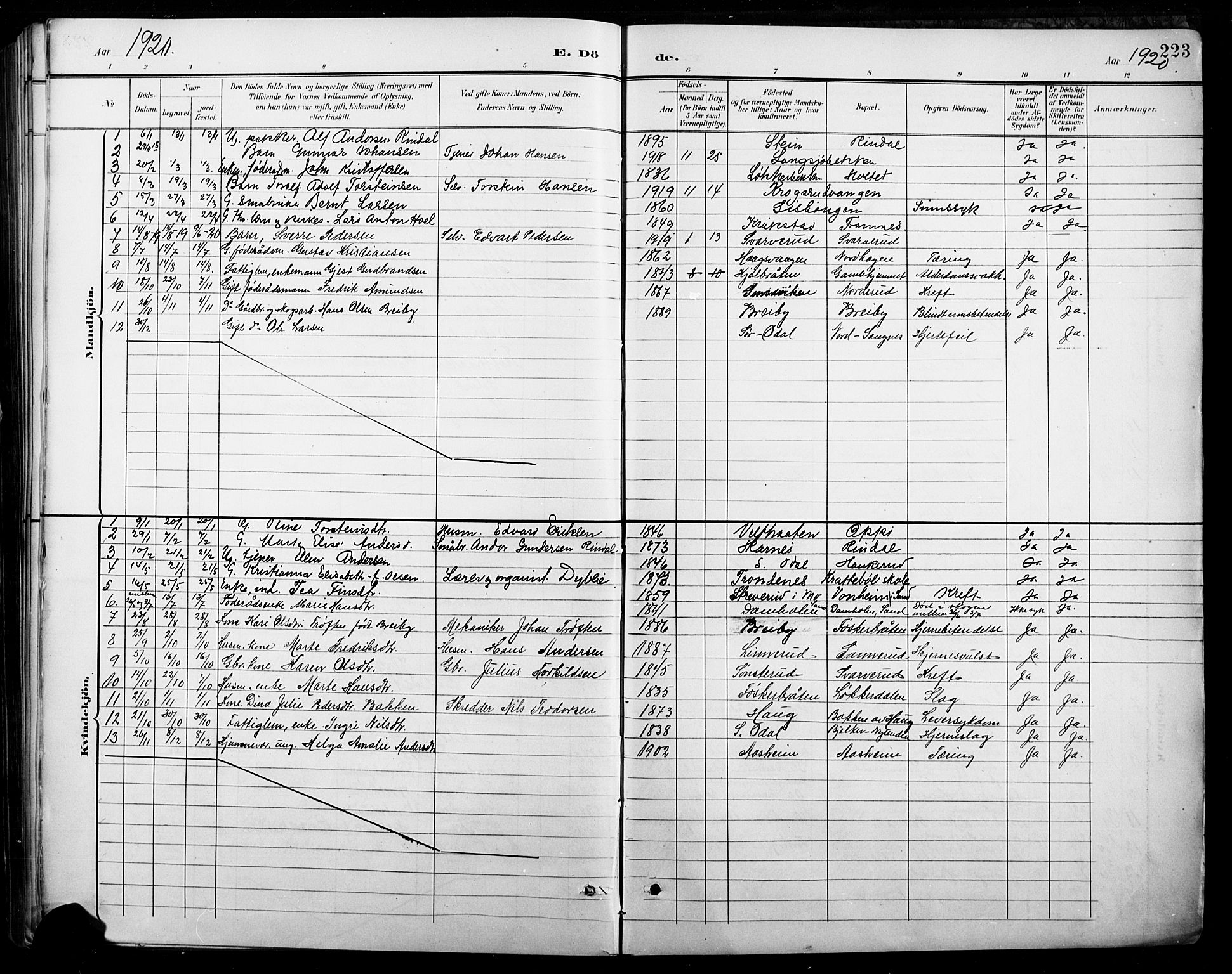 Nord-Odal prestekontor, AV/SAH-PREST-032/H/Ha/Hab/L0003: Parish register (copy) no. 3, 1895-1923, p. 223