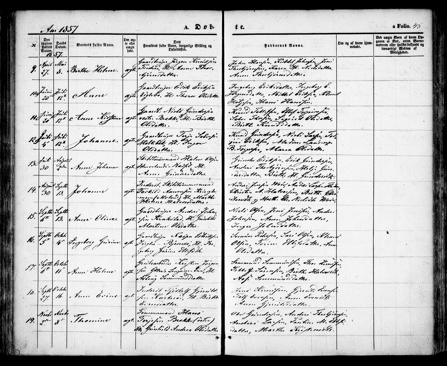 Austre Moland sokneprestkontor, SAK/1111-0001/F/Fa/Faa/L0007: Parish register (official) no. A 7, 1847-1857, p. 45