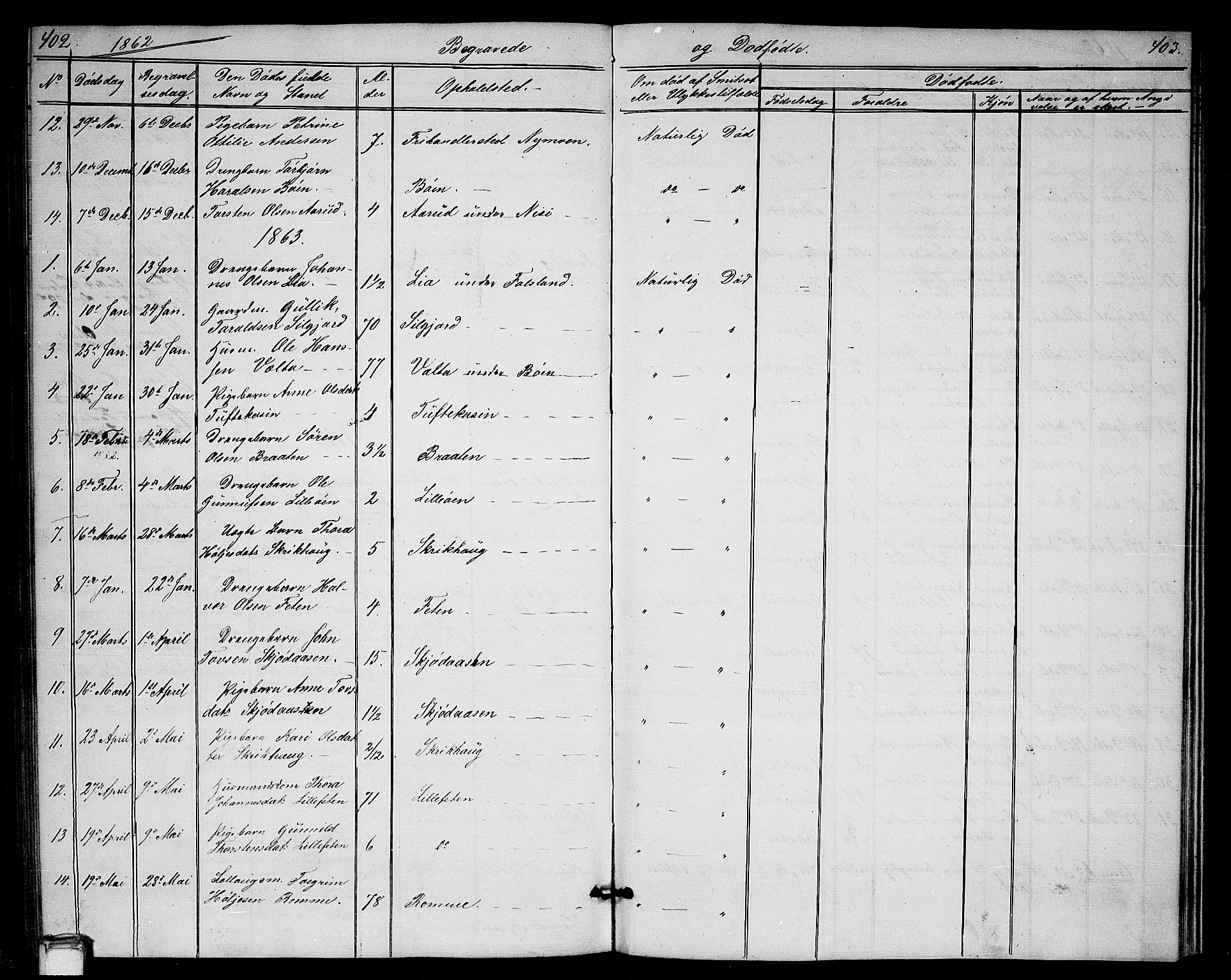 Gransherad kirkebøker, SAKO/A-267/G/Ga/L0002: Parish register (copy) no. I 2, 1854-1886, p. 402-403