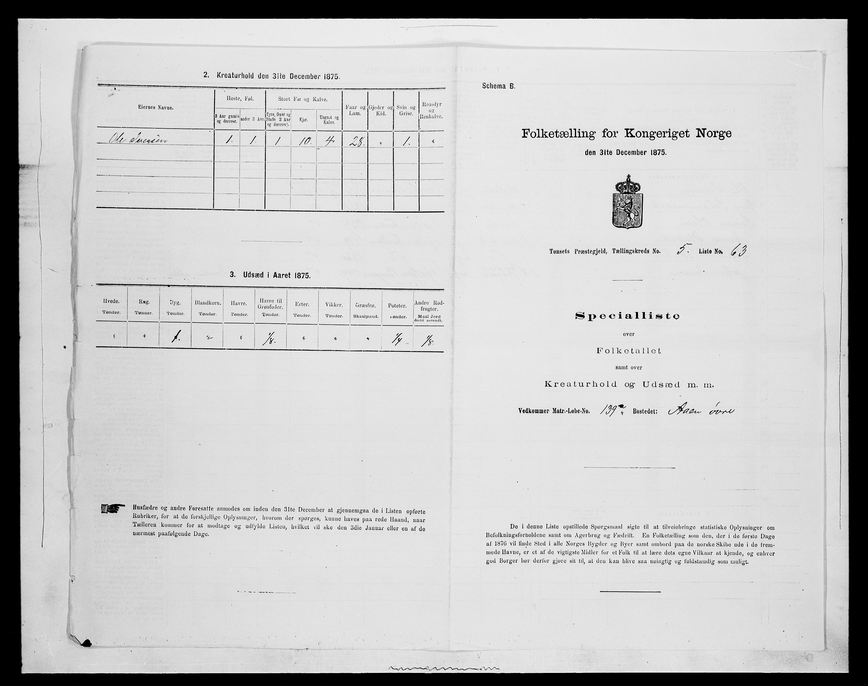 SAH, 1875 census for 0437P Tynset, 1875, p. 689