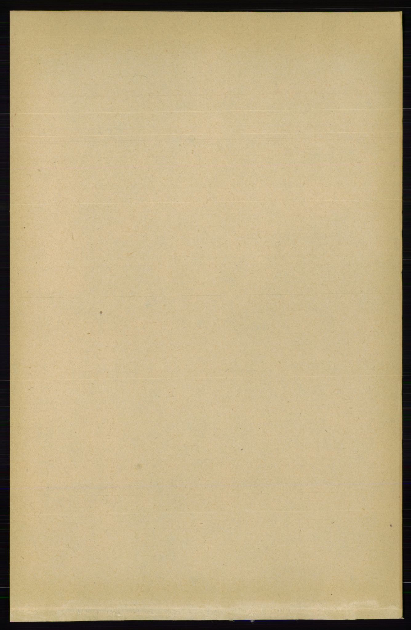 RA, 1891 census for 0826 Tinn, 1891, p. 502