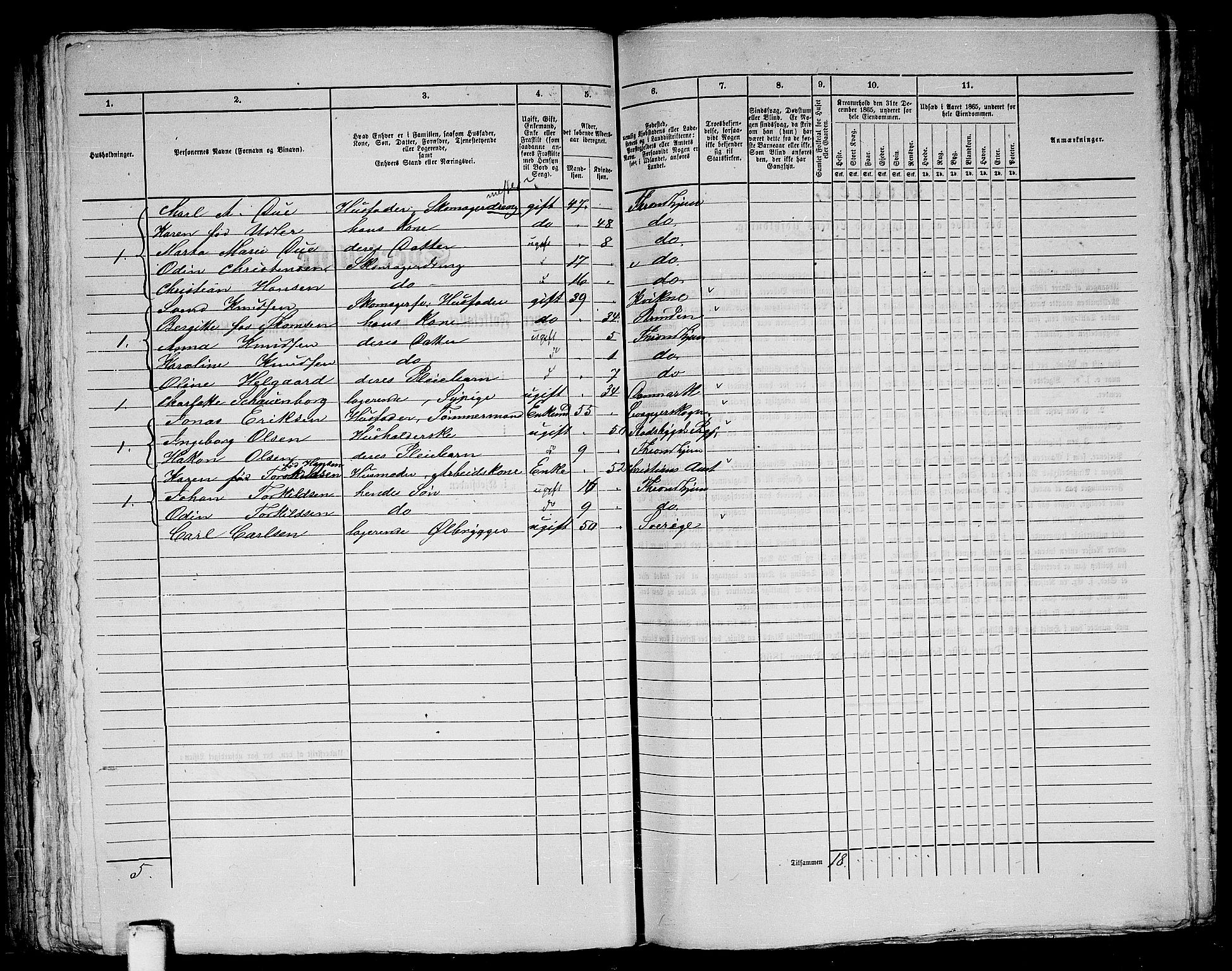 RA, 1865 census for Trondheim, 1865, p. 358