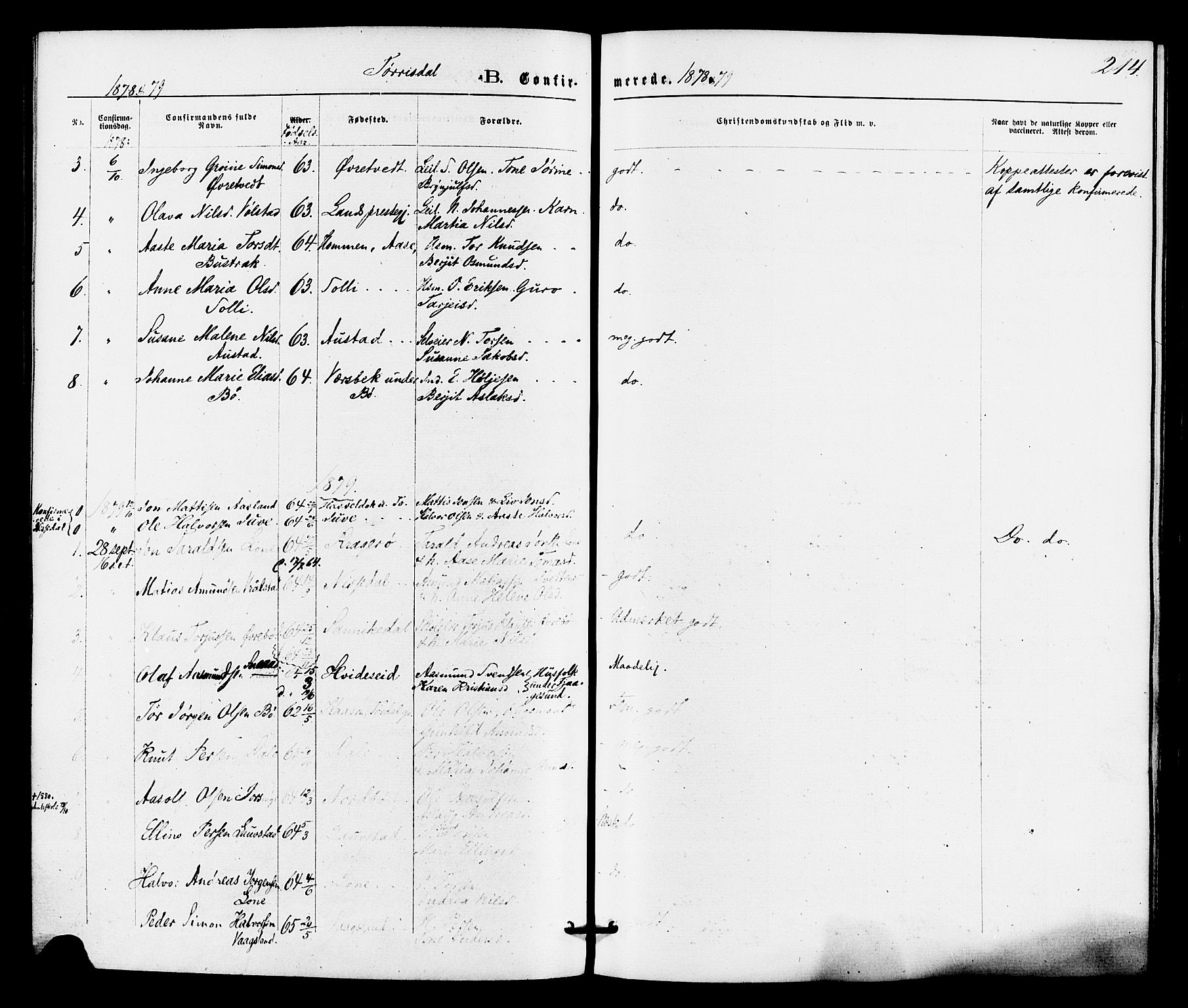 Drangedal kirkebøker, SAKO/A-258/F/Fa/L0009: Parish register (official) no. 9 /2, 1872-1884, p. 214