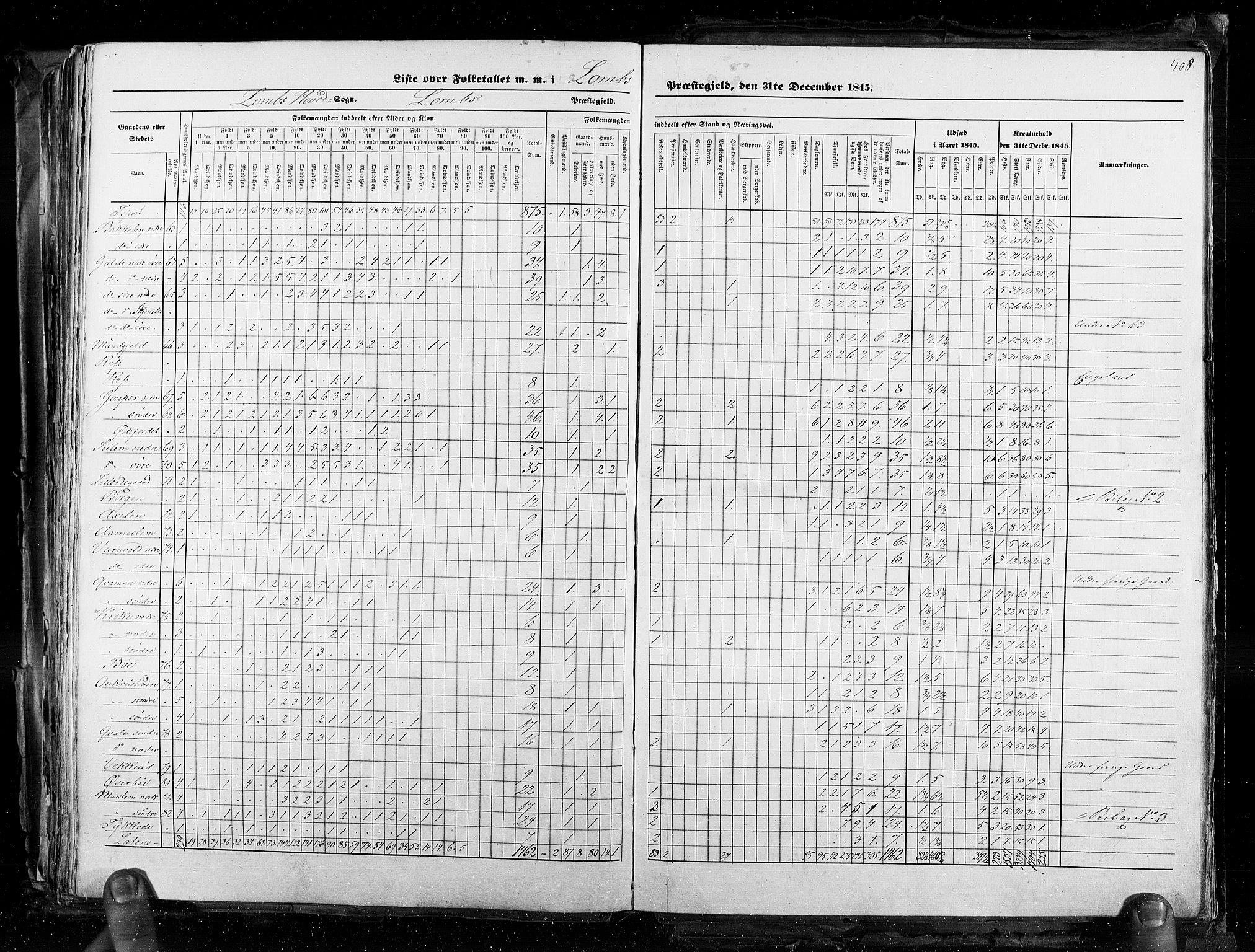 RA, Census 1845, vol. 3: Hedemarken amt og Kristians amt, 1845, p. 408