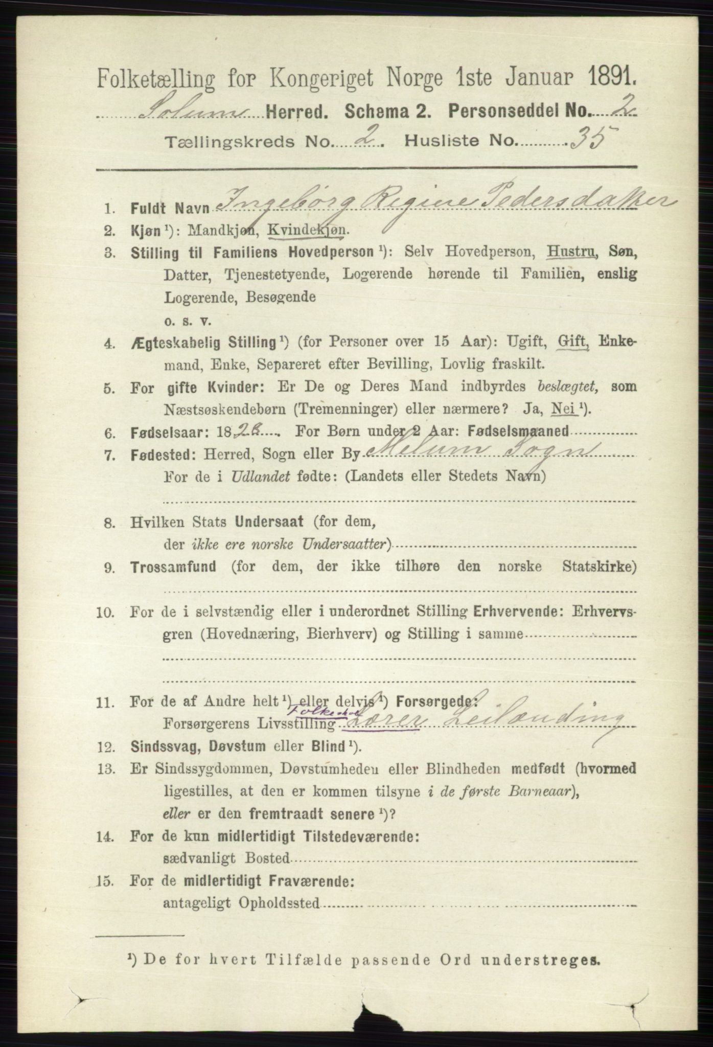 RA, 1891 census for 0818 Solum, 1891, p. 290