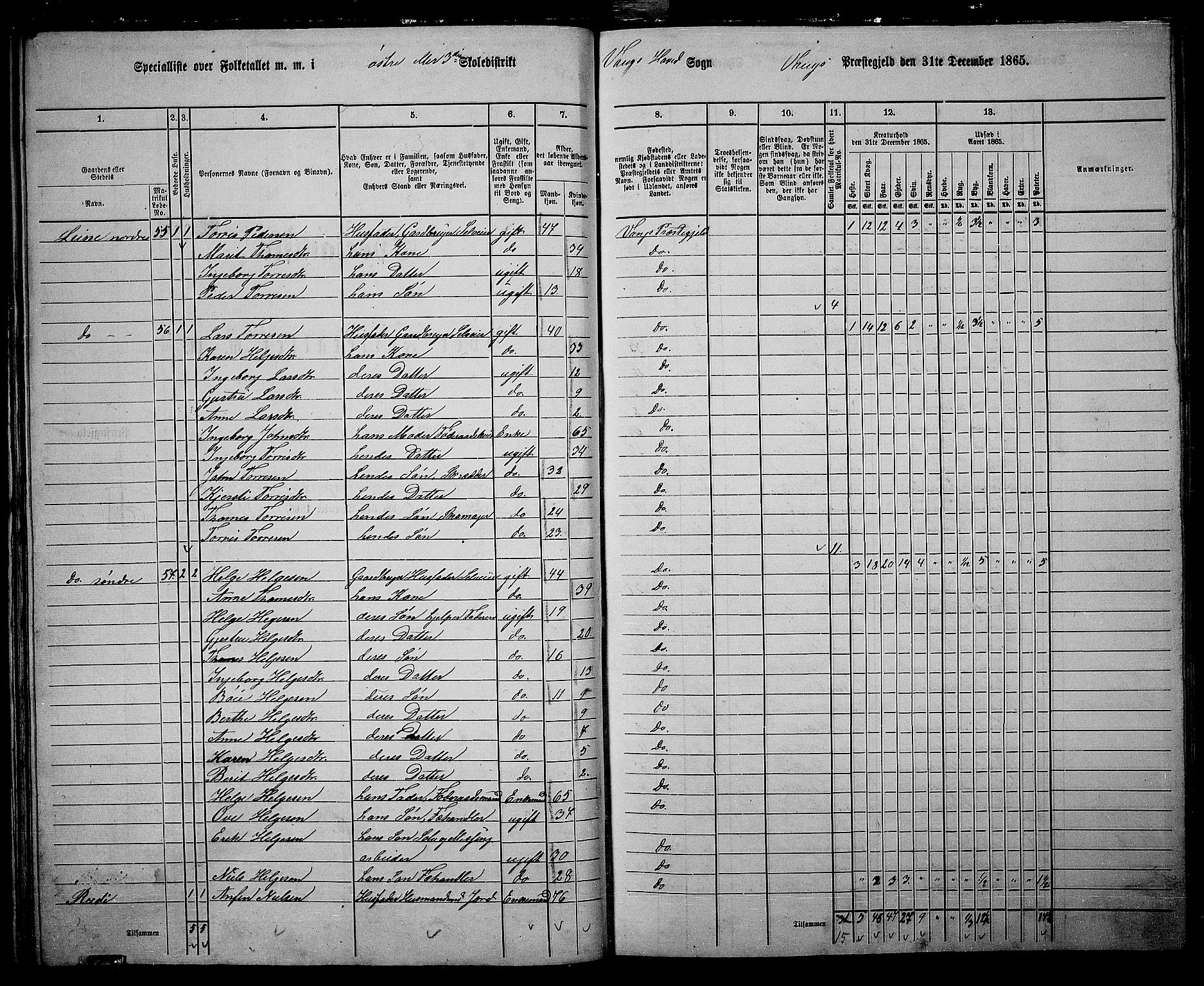 RA, 1865 census for Vang, 1865, p. 48