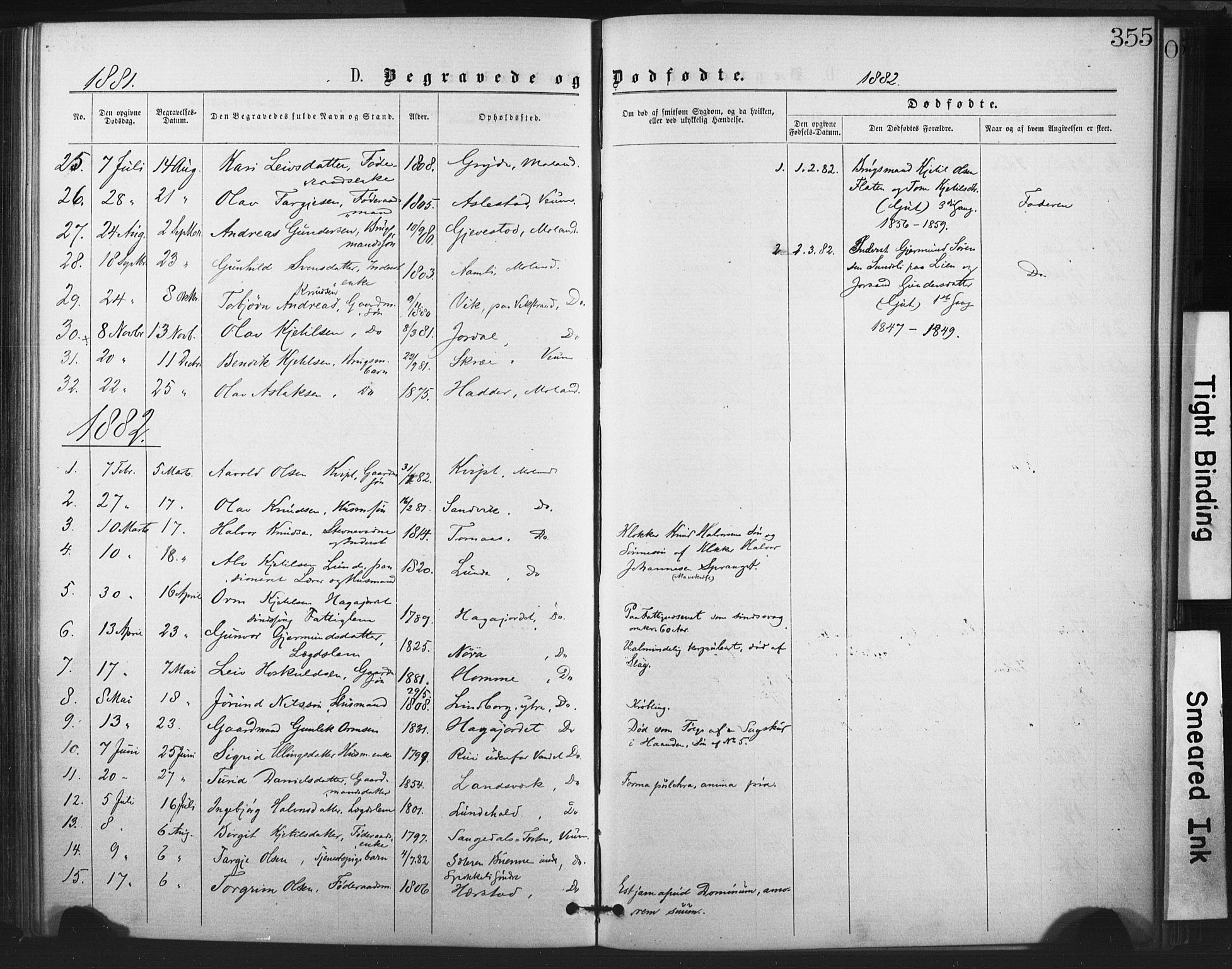 Fyresdal kirkebøker, SAKO/A-263/F/Fa/L0006: Parish register (official) no. I 6, 1872-1886, p. 355