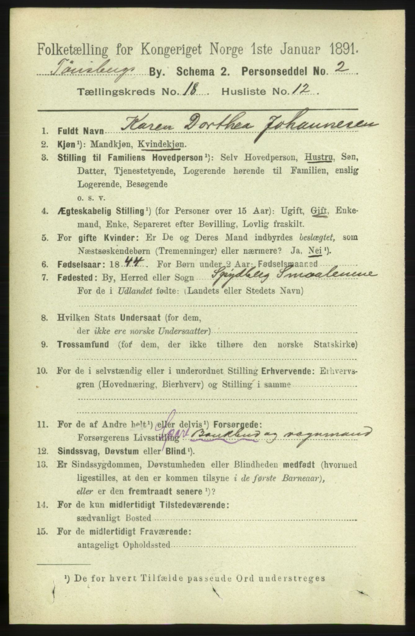 RA, 1891 census for 0705 Tønsberg, 1891, p. 5209