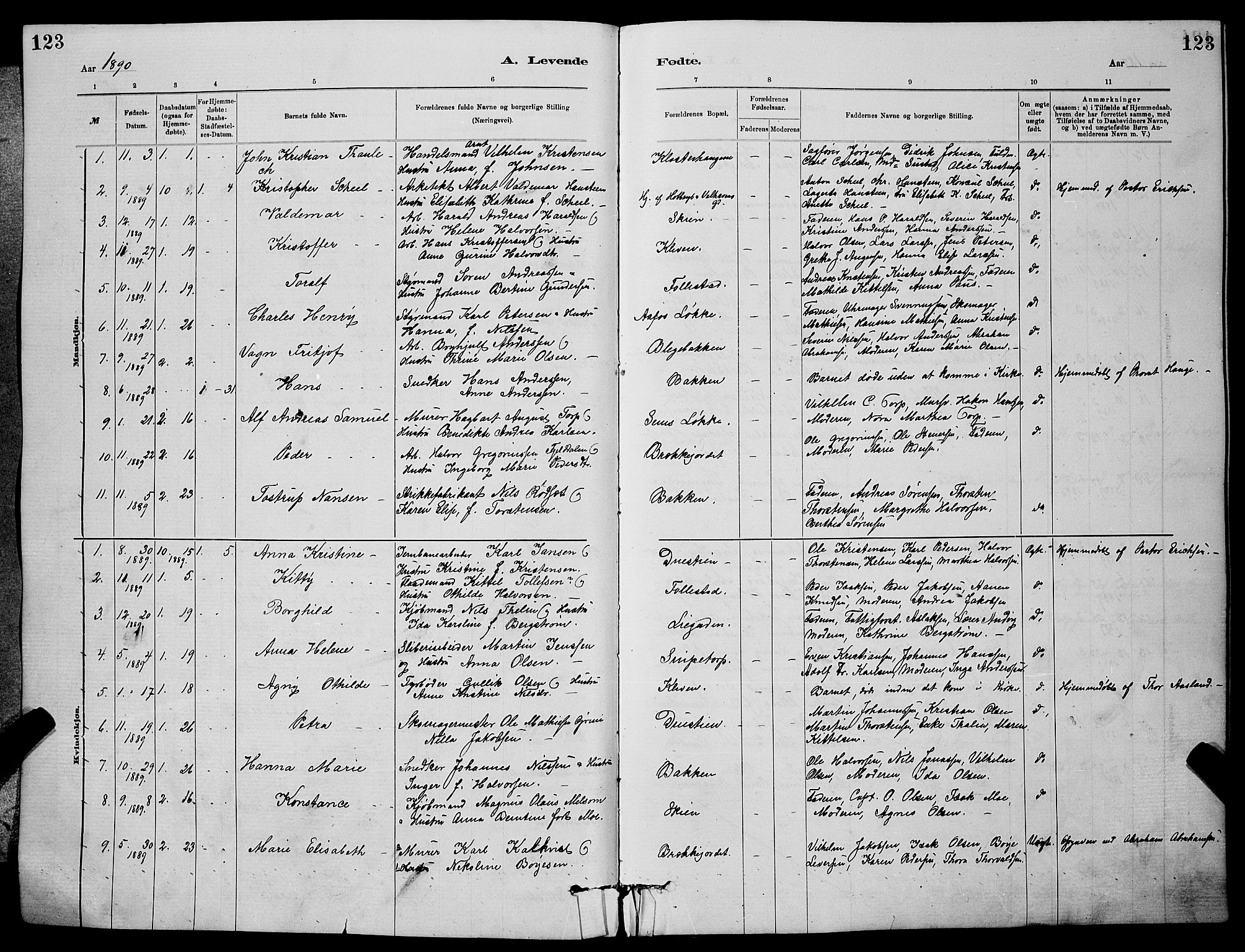 Skien kirkebøker, SAKO/A-302/G/Ga/L0006: Parish register (copy) no. 6, 1881-1890, p. 123