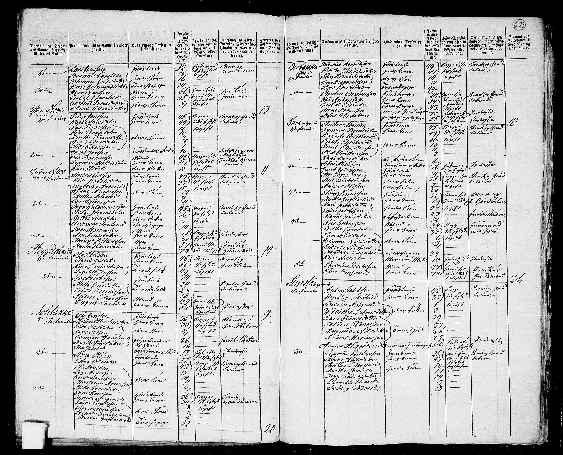 RA, 1801 census for 1442P Davik, 1801, p. 622b-623a