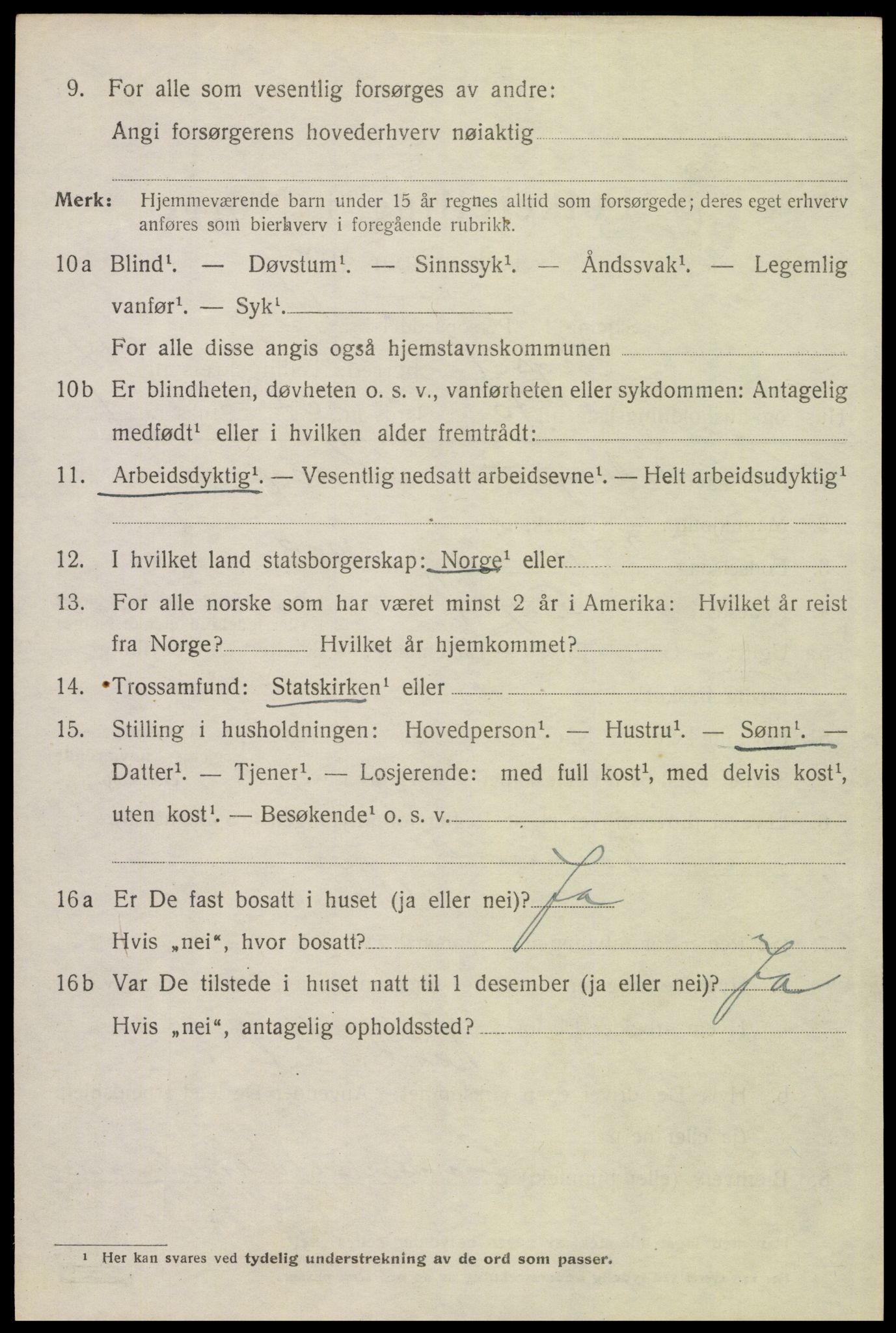 SAH, 1920 census for Trysil, 1920, p. 12614