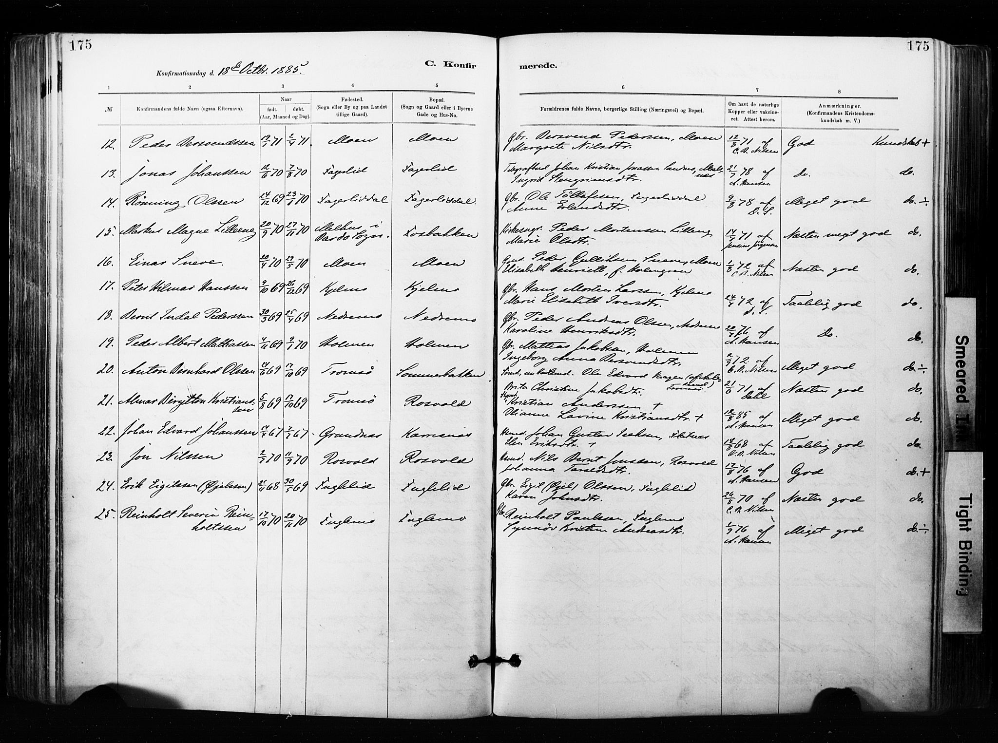 Målselv sokneprestembete, AV/SATØ-S-1311/G/Ga/Gaa/L0007kirke: Parish register (official) no. 7, 1884-1903, p. 175