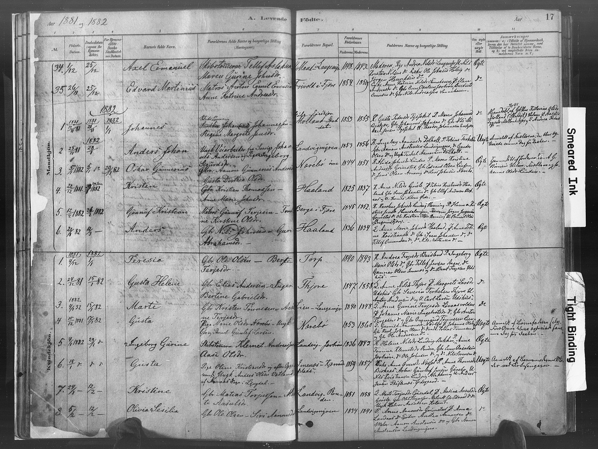 Hommedal sokneprestkontor, AV/SAK-1111-0023/F/Fa/Fab/L0006: Parish register (official) no. A 6, 1878-1897, p. 17