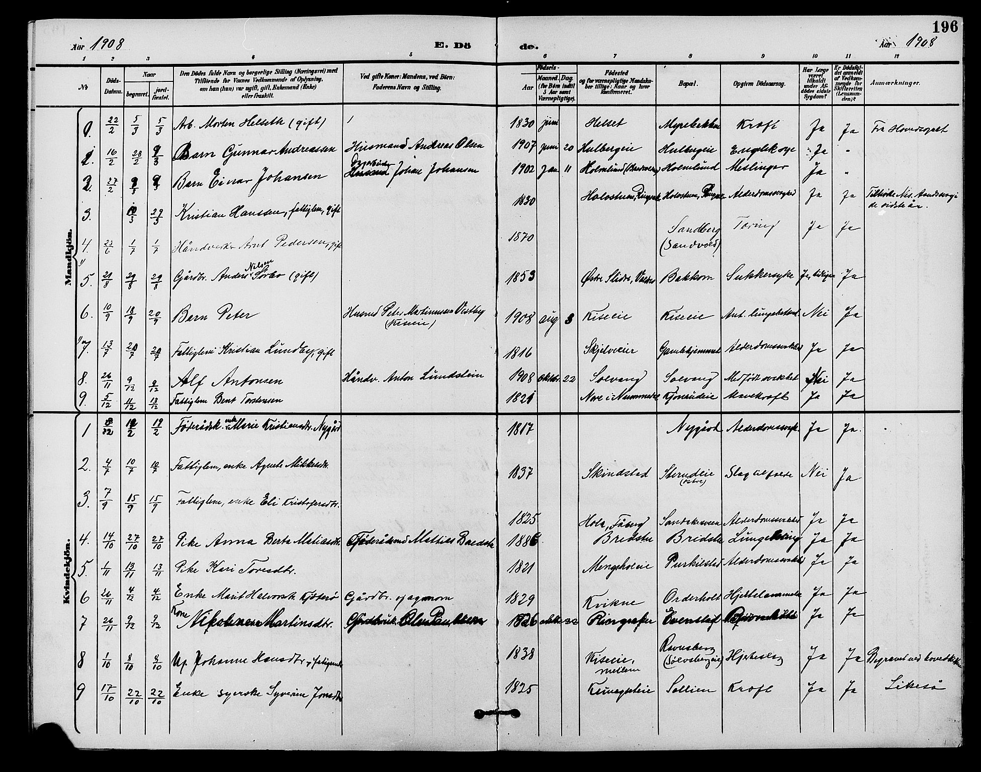 Nes prestekontor, Hedmark, AV/SAH-PREST-020/L/La/L0007: Parish register (copy) no. 7, 1892-1912, p. 196