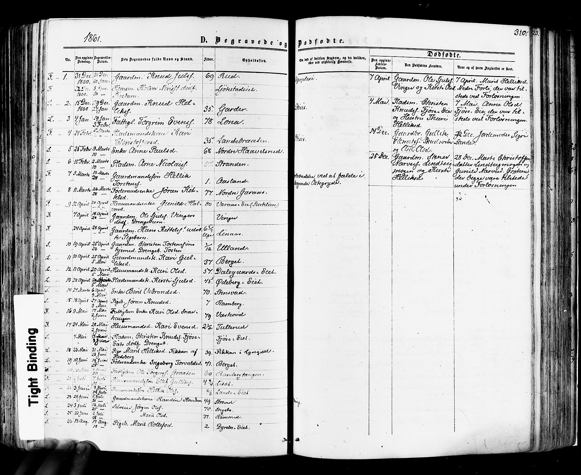 Flesberg kirkebøker, SAKO/A-18/F/Fa/L0007: Parish register (official) no. I 7, 1861-1878, p. 310