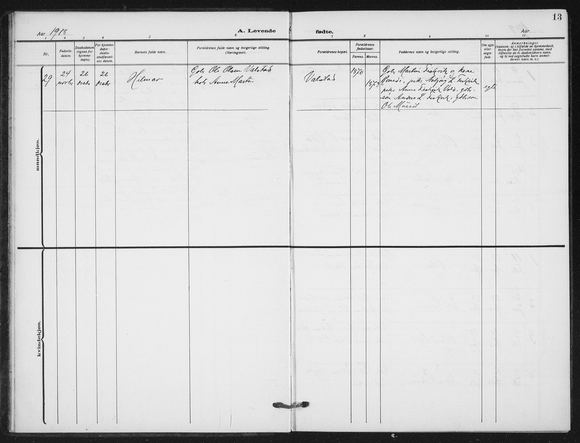 Ministerialprotokoller, klokkerbøker og fødselsregistre - Nord-Trøndelag, AV/SAT-A-1458/712/L0102: Parish register (official) no. 712A03, 1916-1929, p. 13